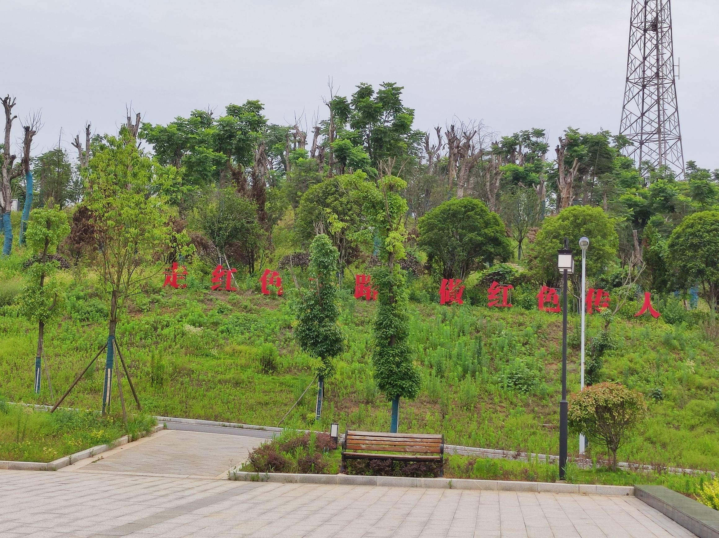 杨得志公园旅行图片 2