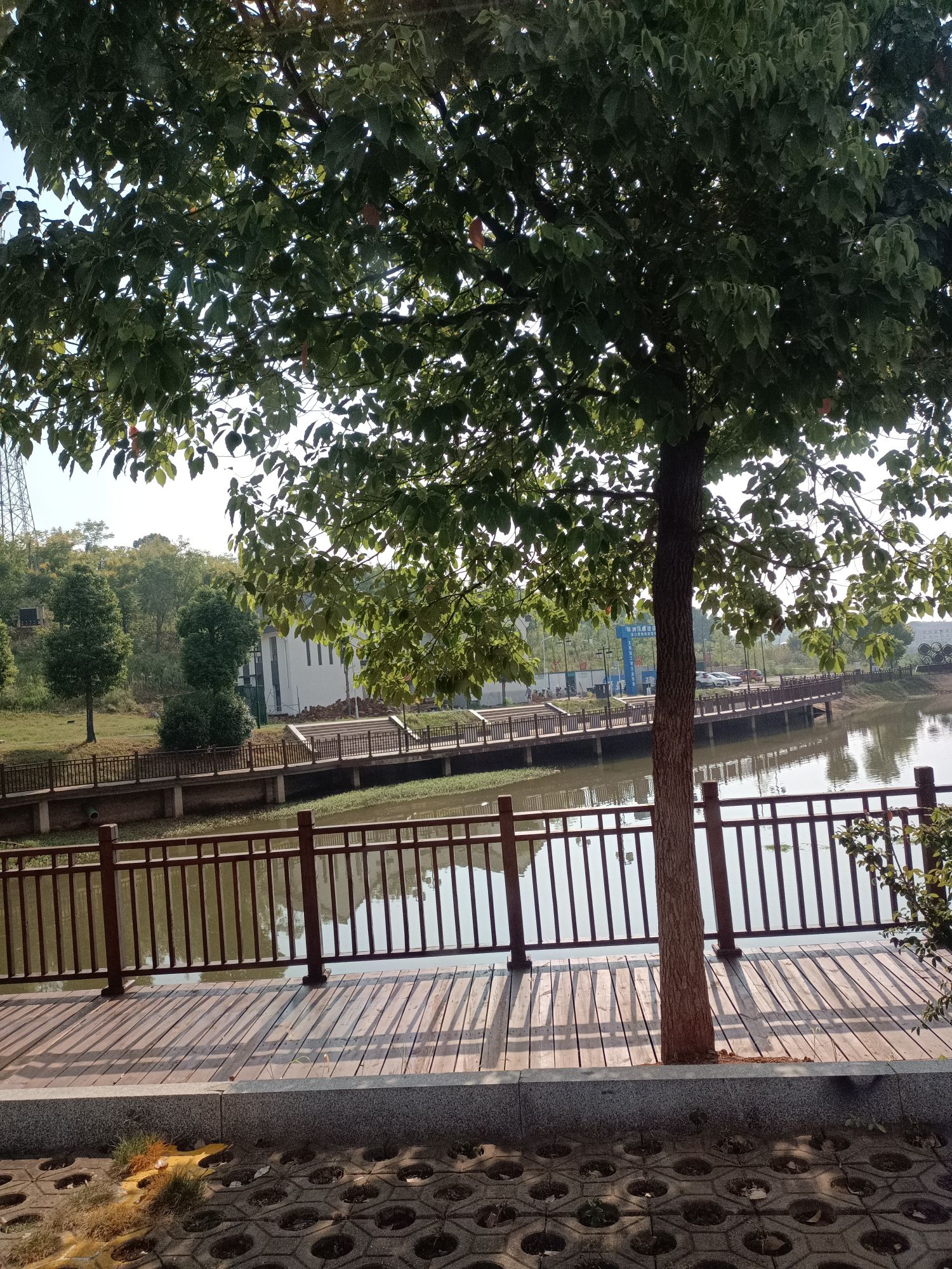 杨得志公园旅行图片 2