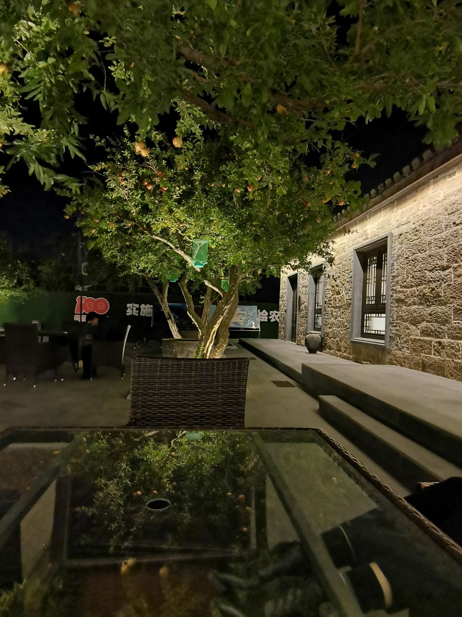 石榴古树园旅行图片 3