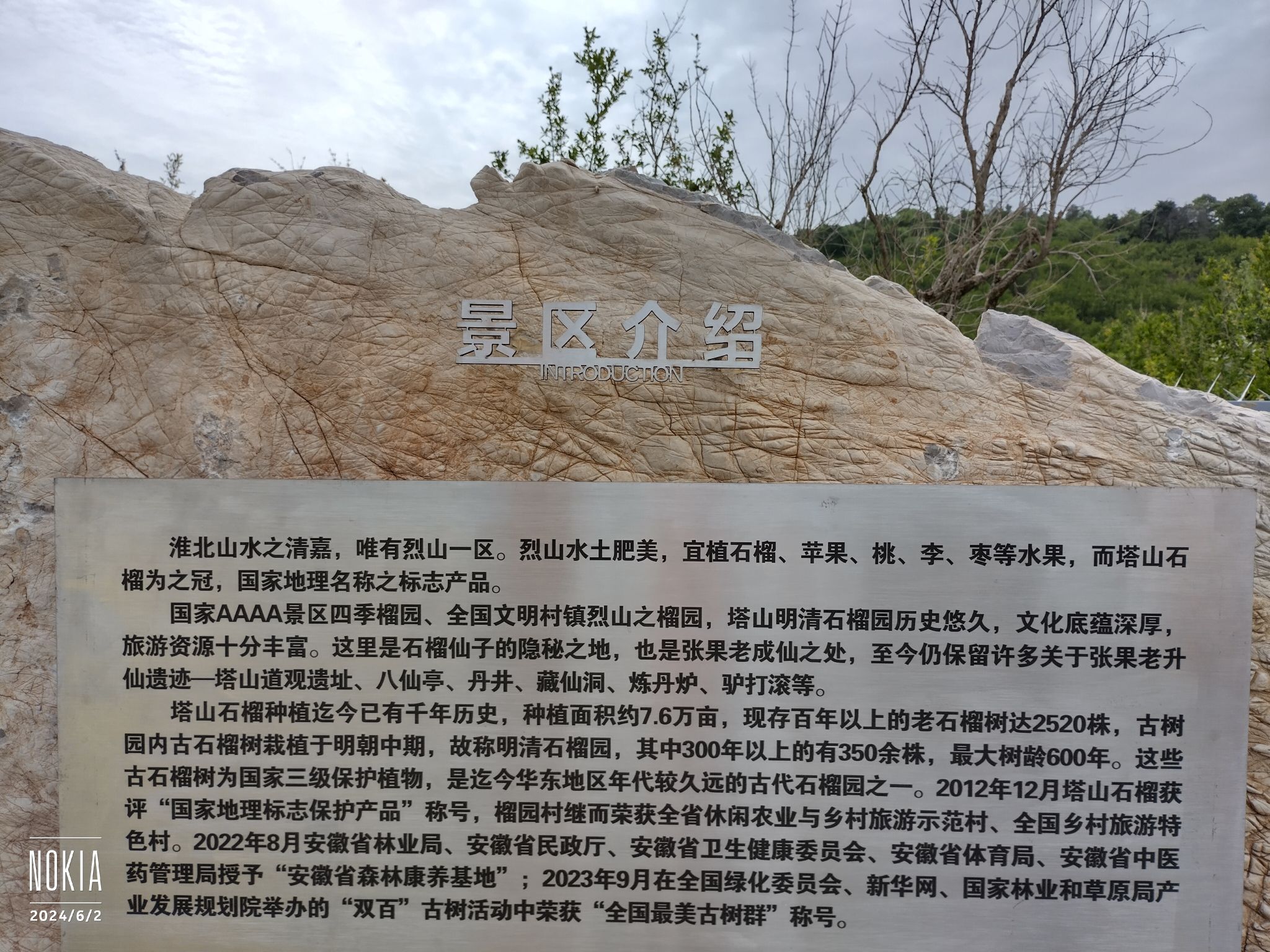 石榴古树园旅行图片 2