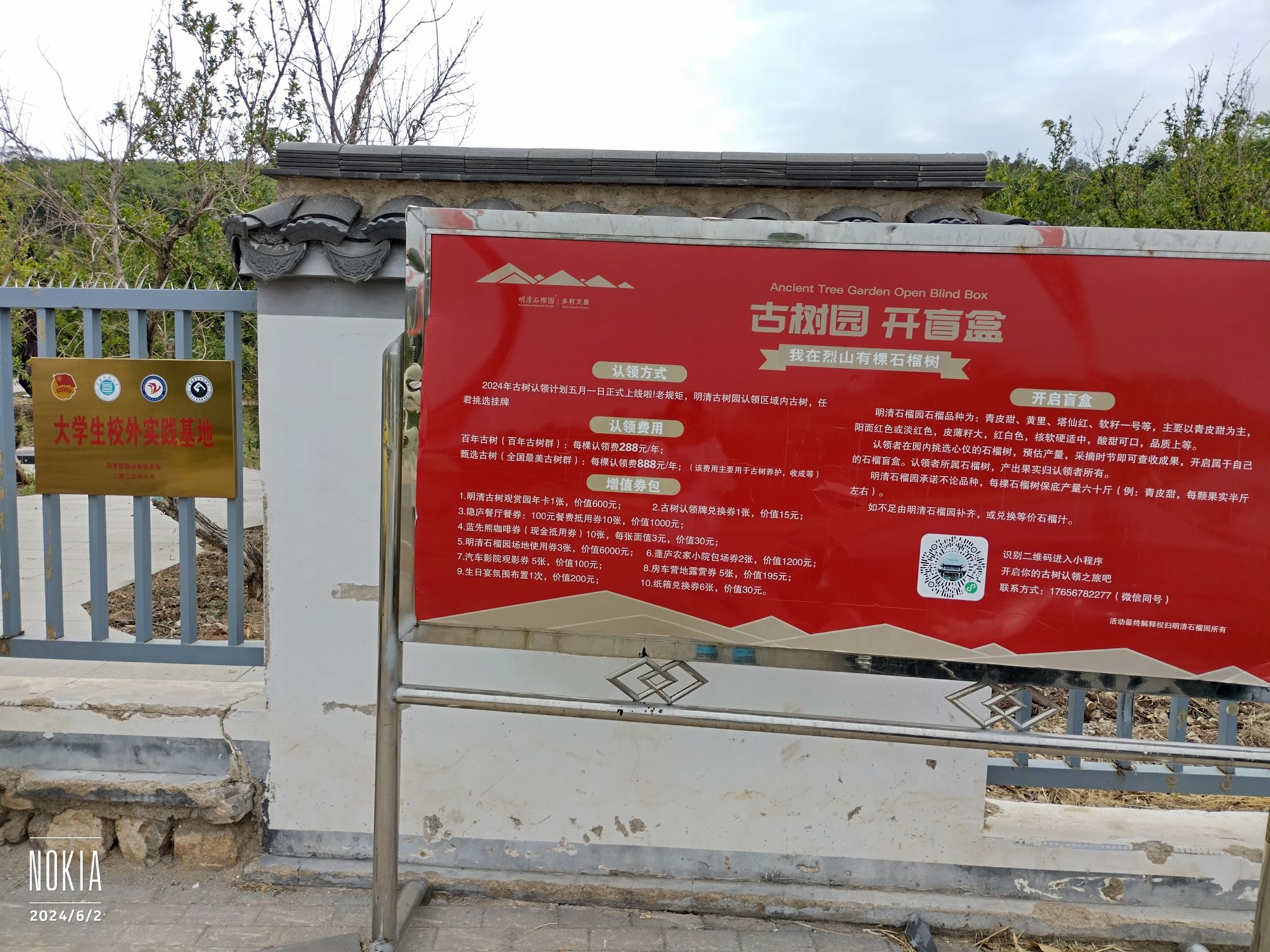石榴古树园旅行图片 1