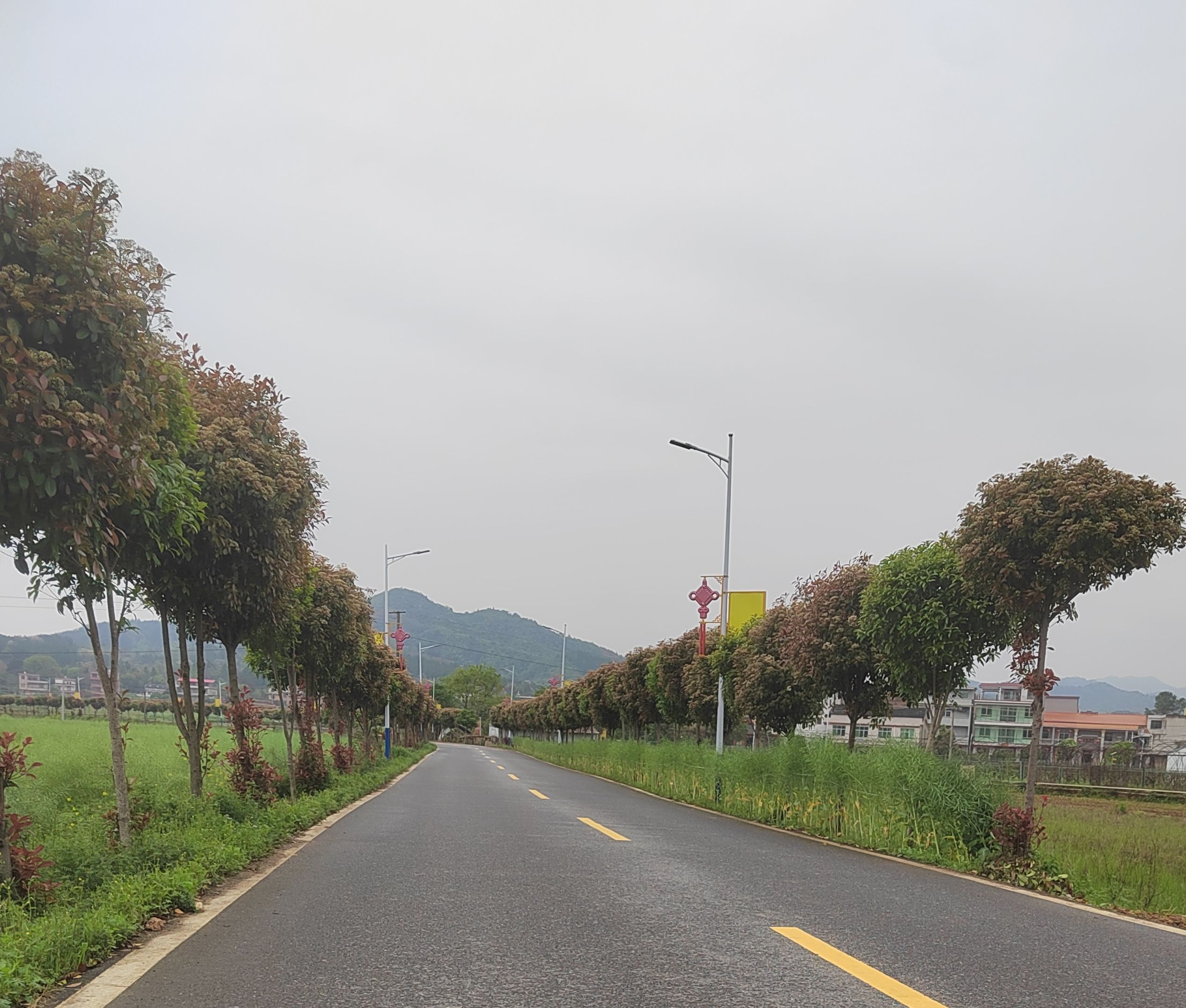 方工村文体广场旅行图片 2