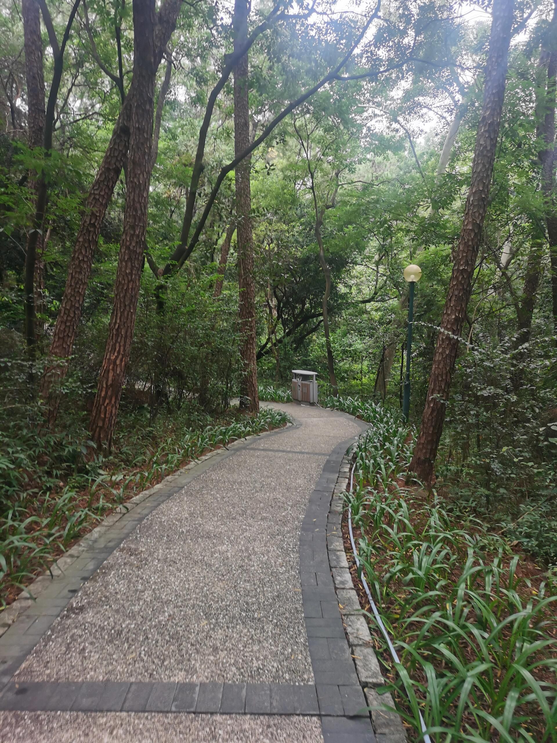 马鞍山公园旅行图片 1