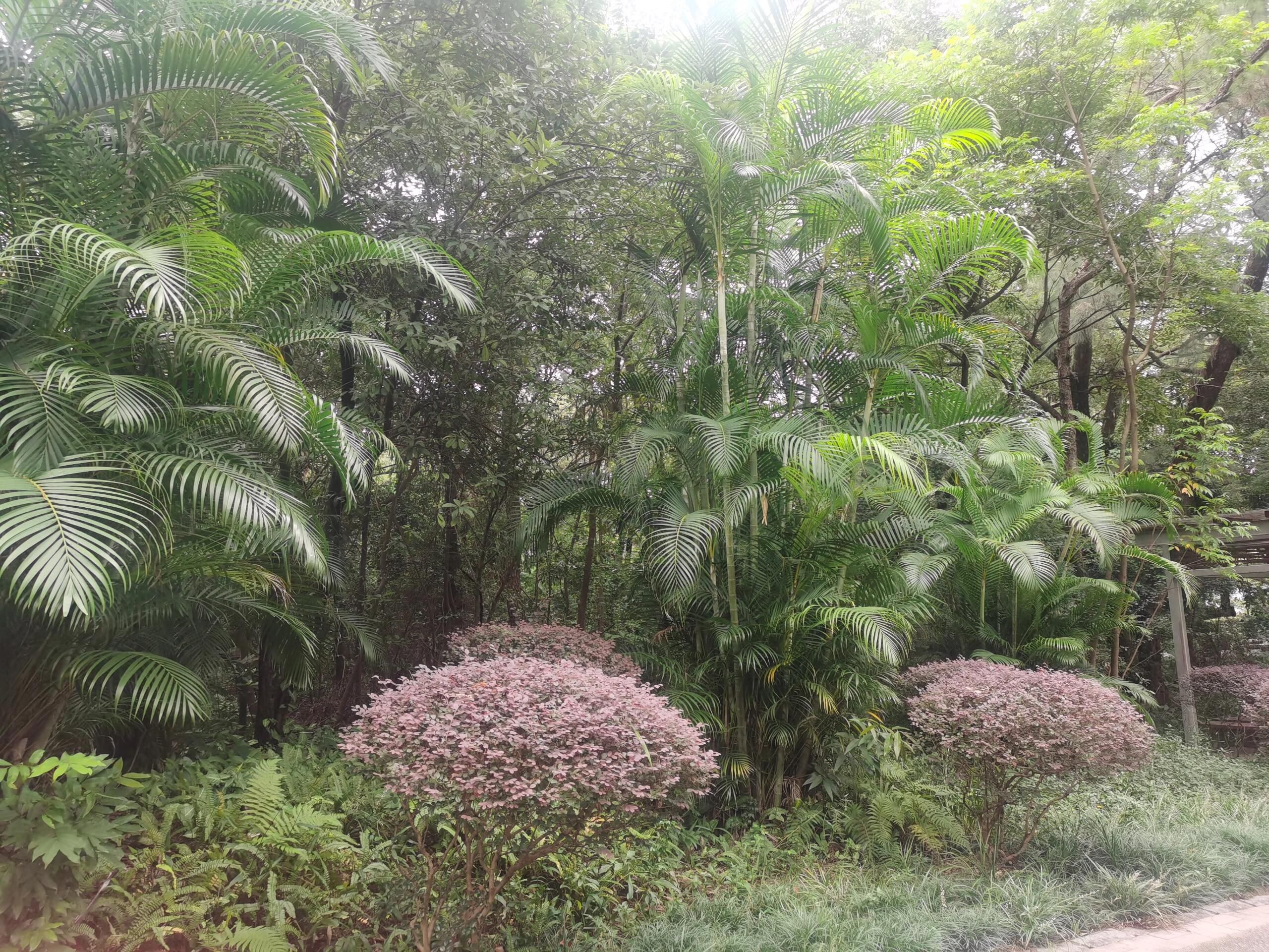 马鞍山公园旅行图片 3