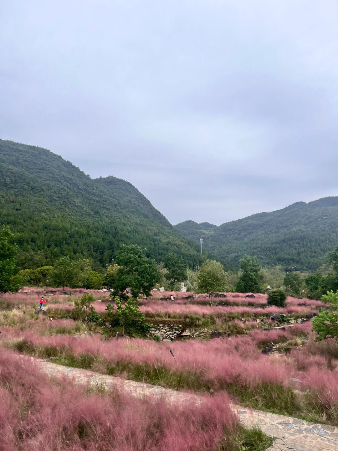 叠石花谷旅行图片 3