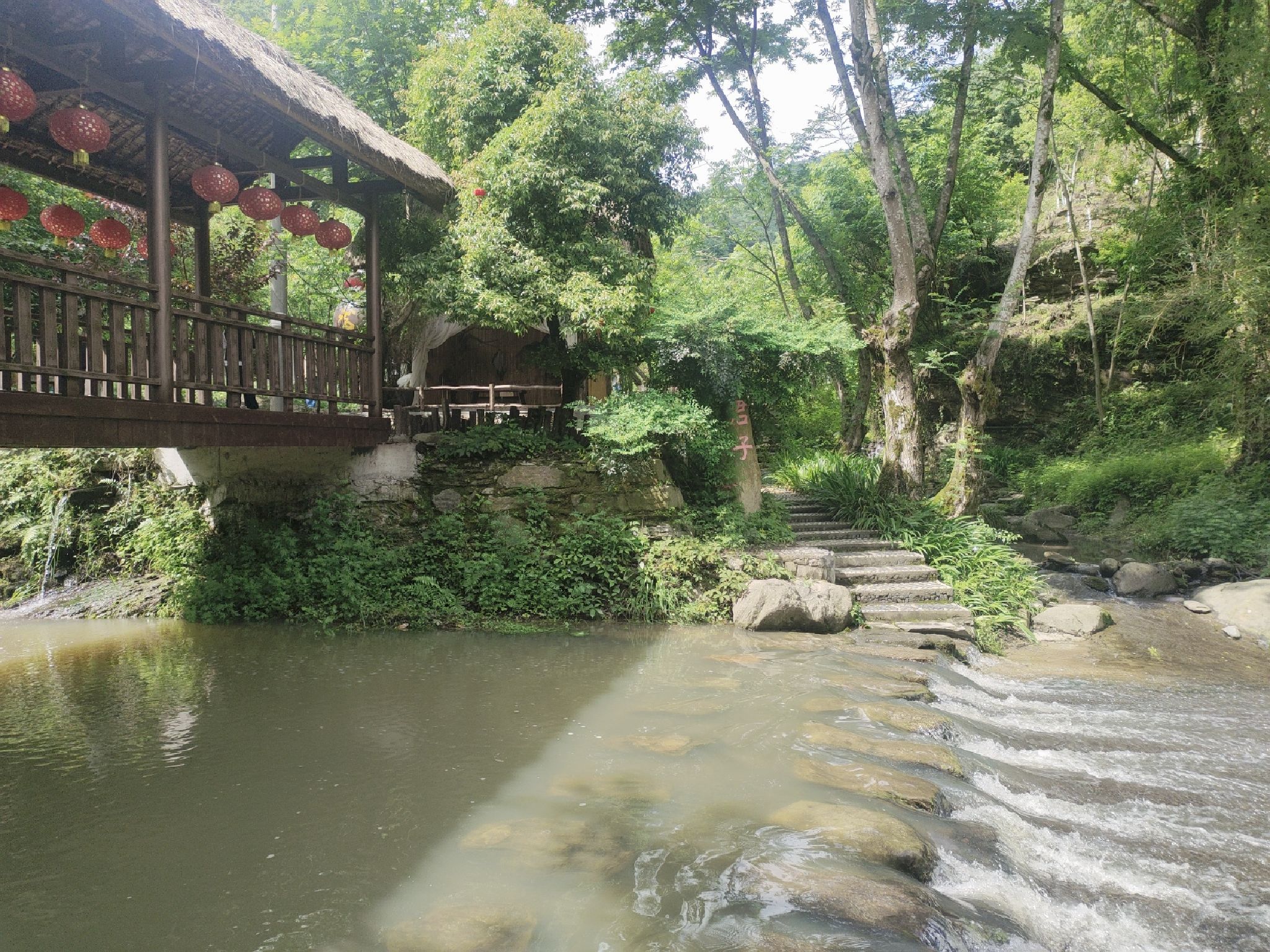 太和梅花谷旅行图片 1