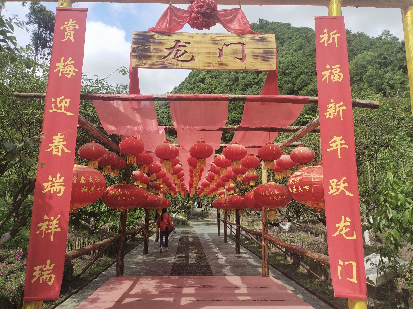 太和梅花谷旅行图片 2