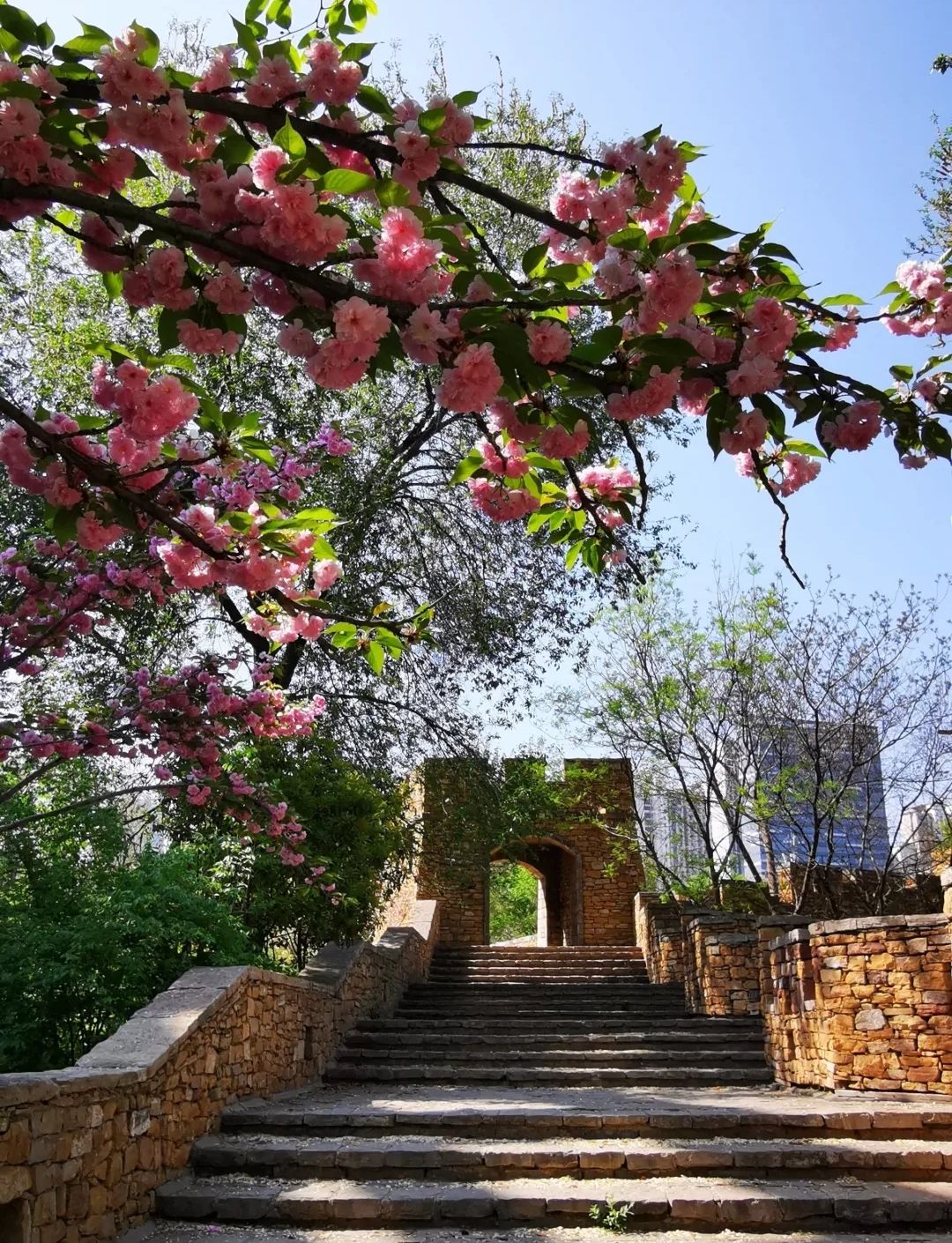 腊山河公园旅行图片 1