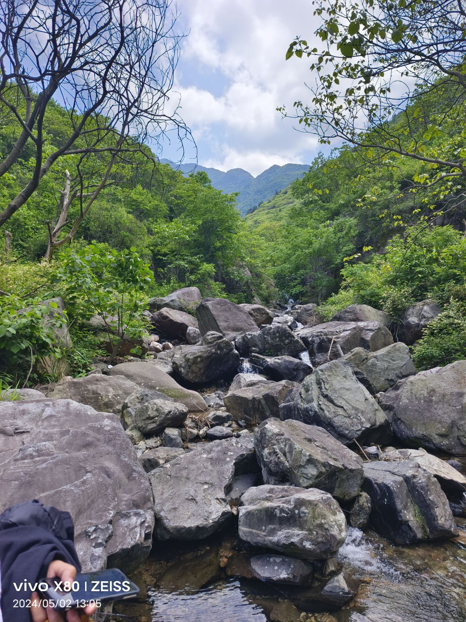 桐花谷旅行图片 3