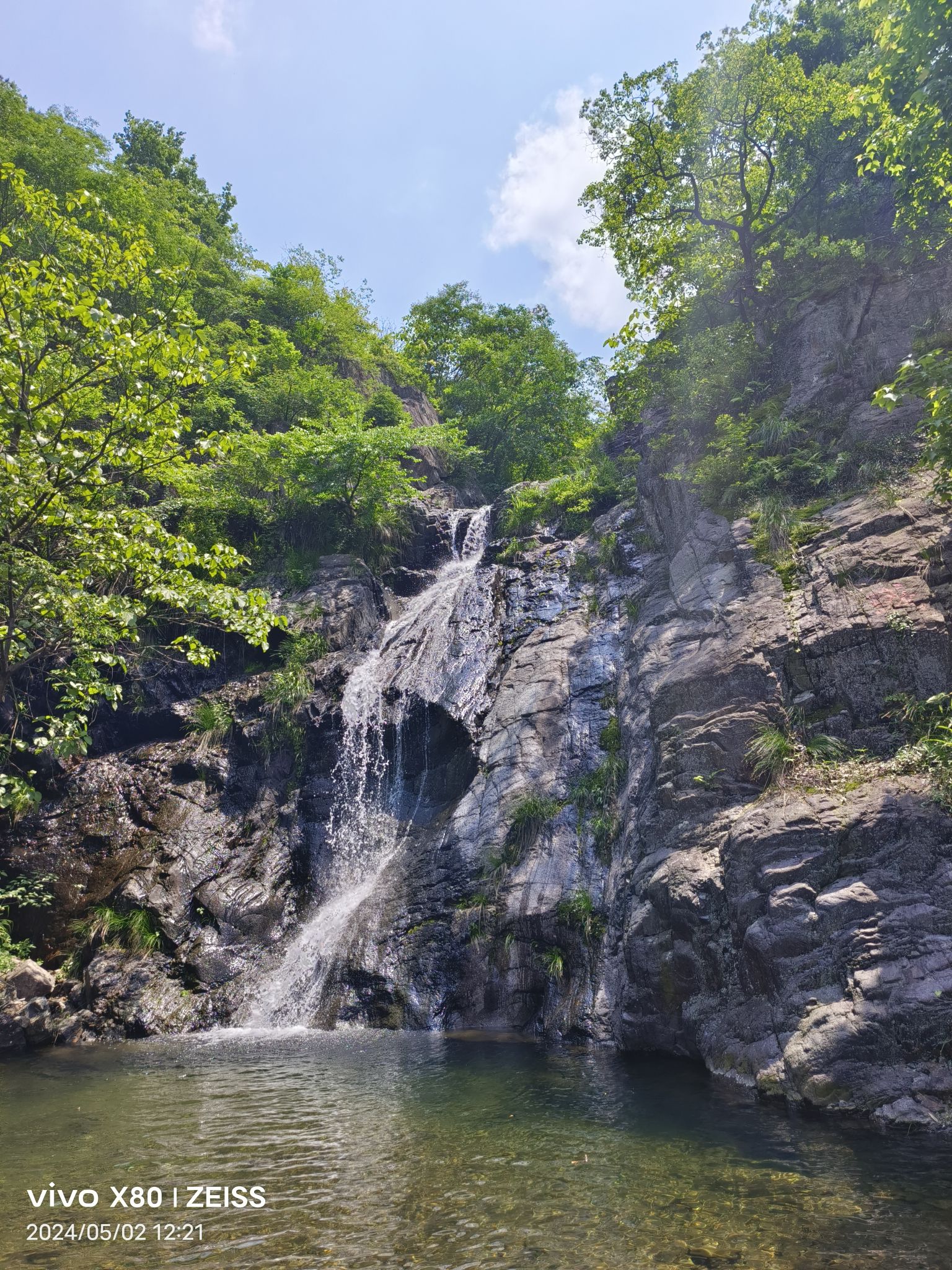 桐花谷旅行图片 1