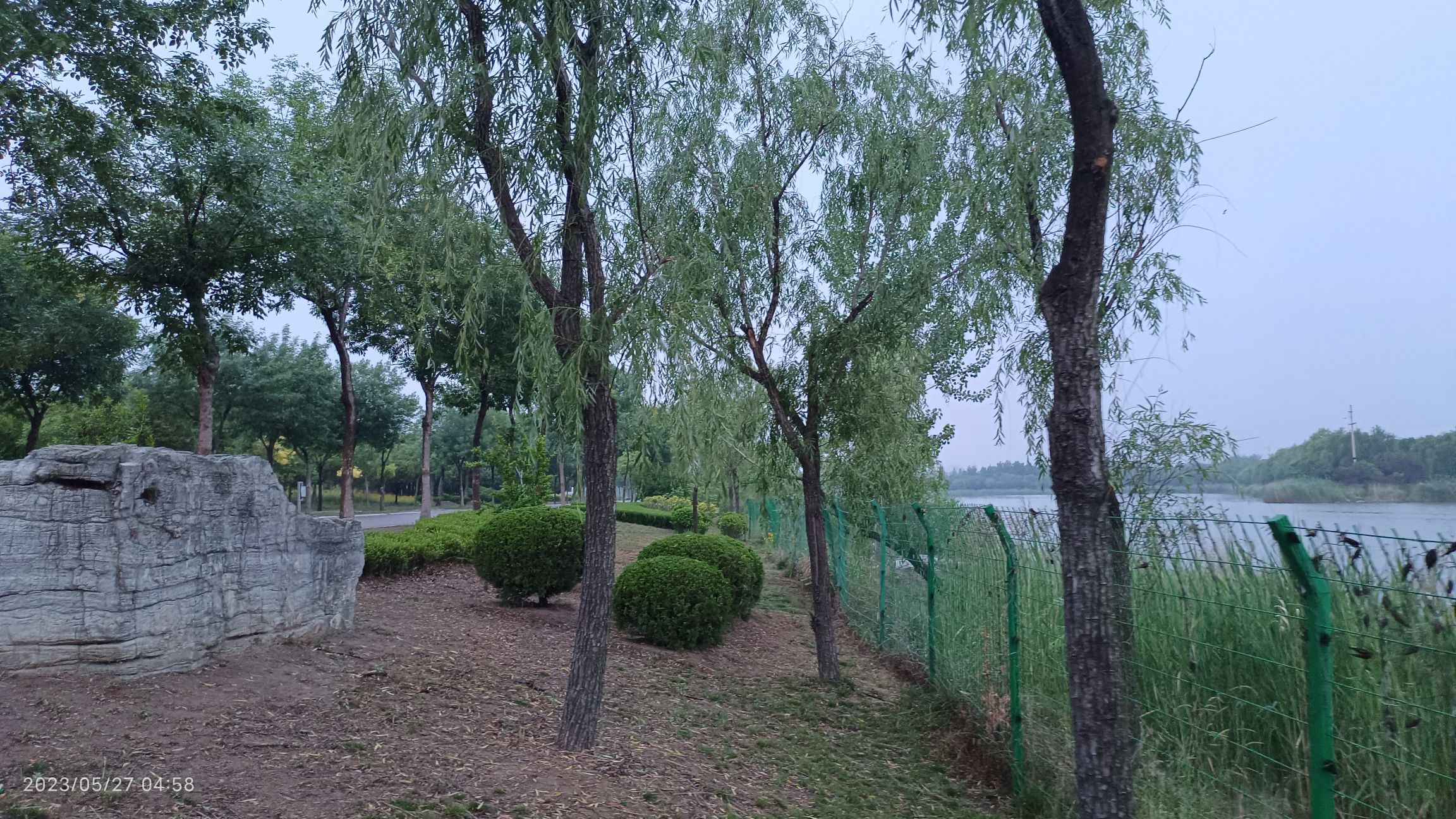 金平湖湿地公园旅行图片 3