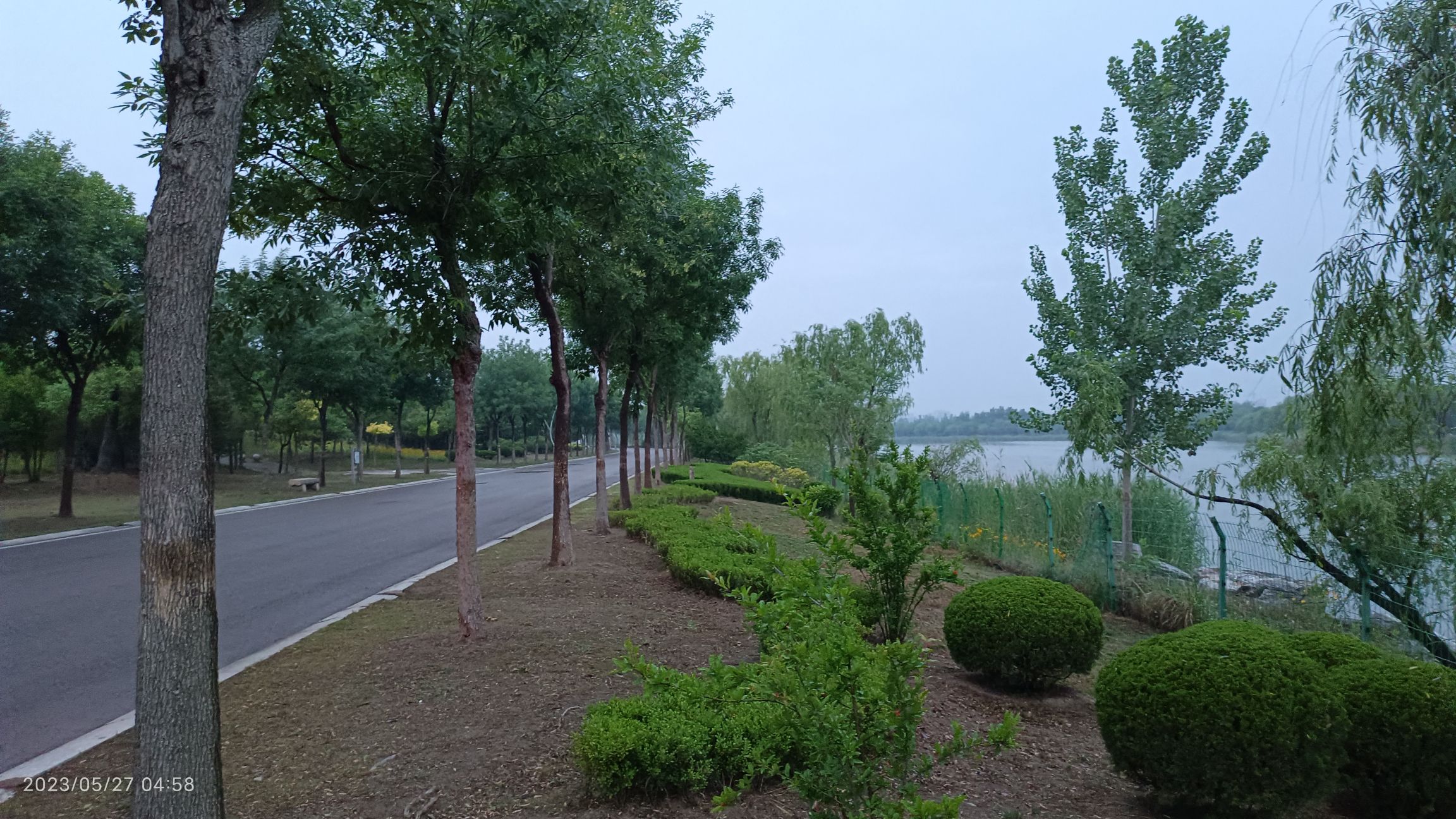金平湖湿地公园旅行图片 2