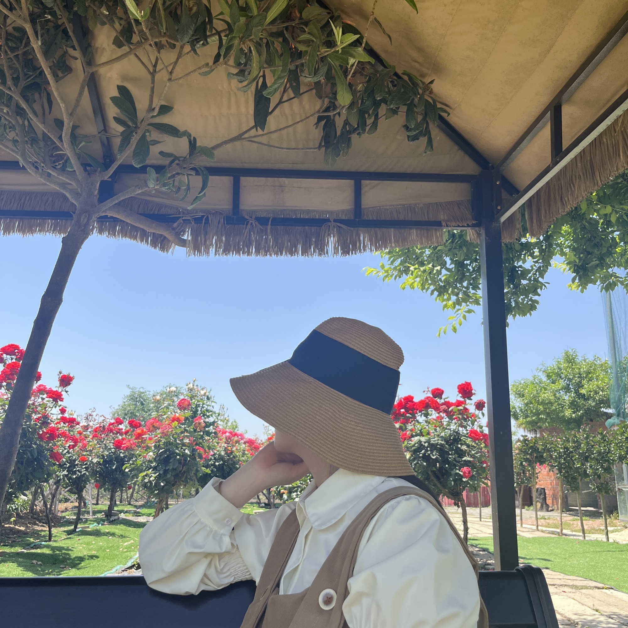 王家岗牡丹园旅行图片 3