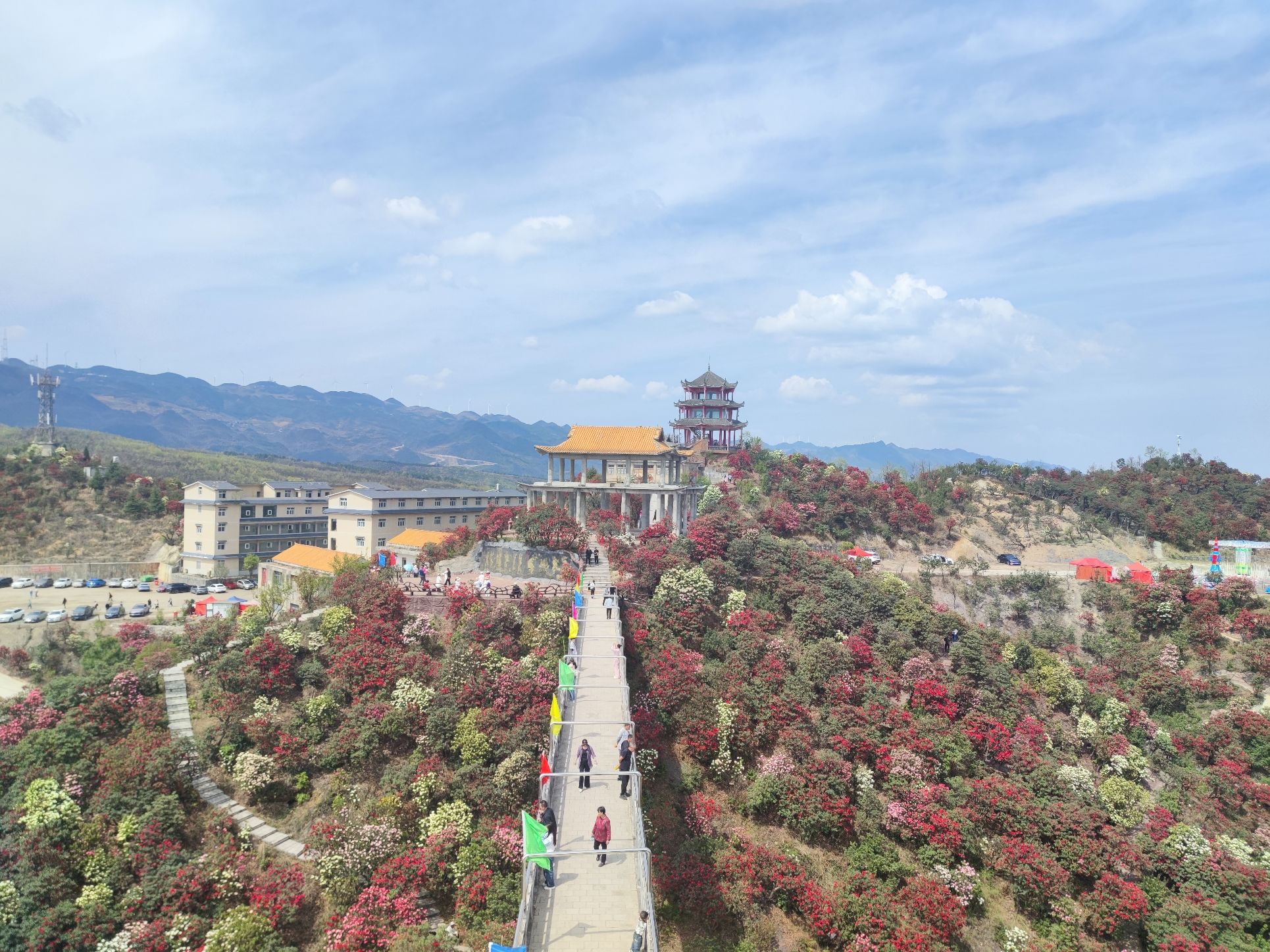 六盘水十里杜鹃花海旅行图片 1