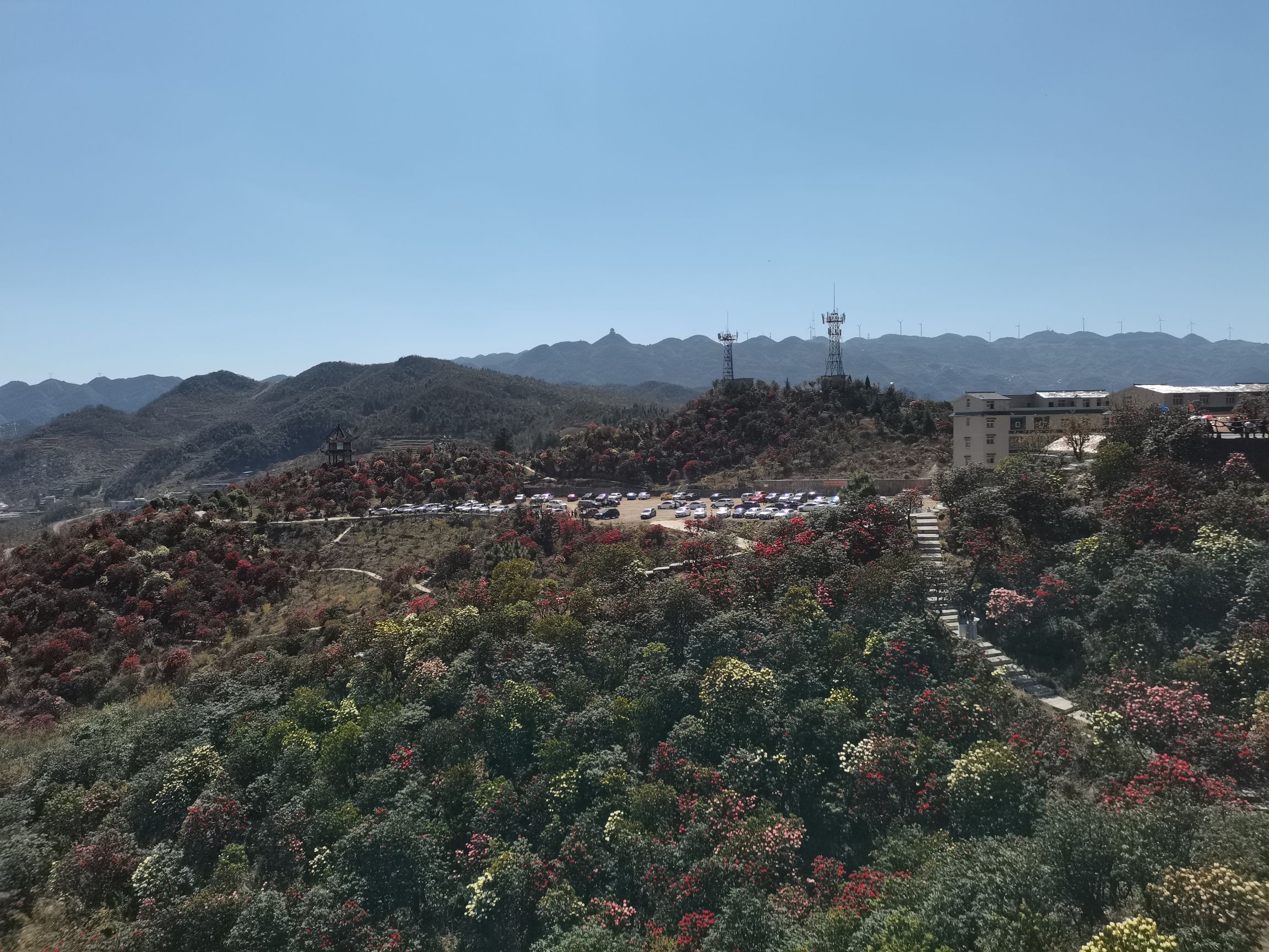 六盘水十里杜鹃花海旅行图片 1