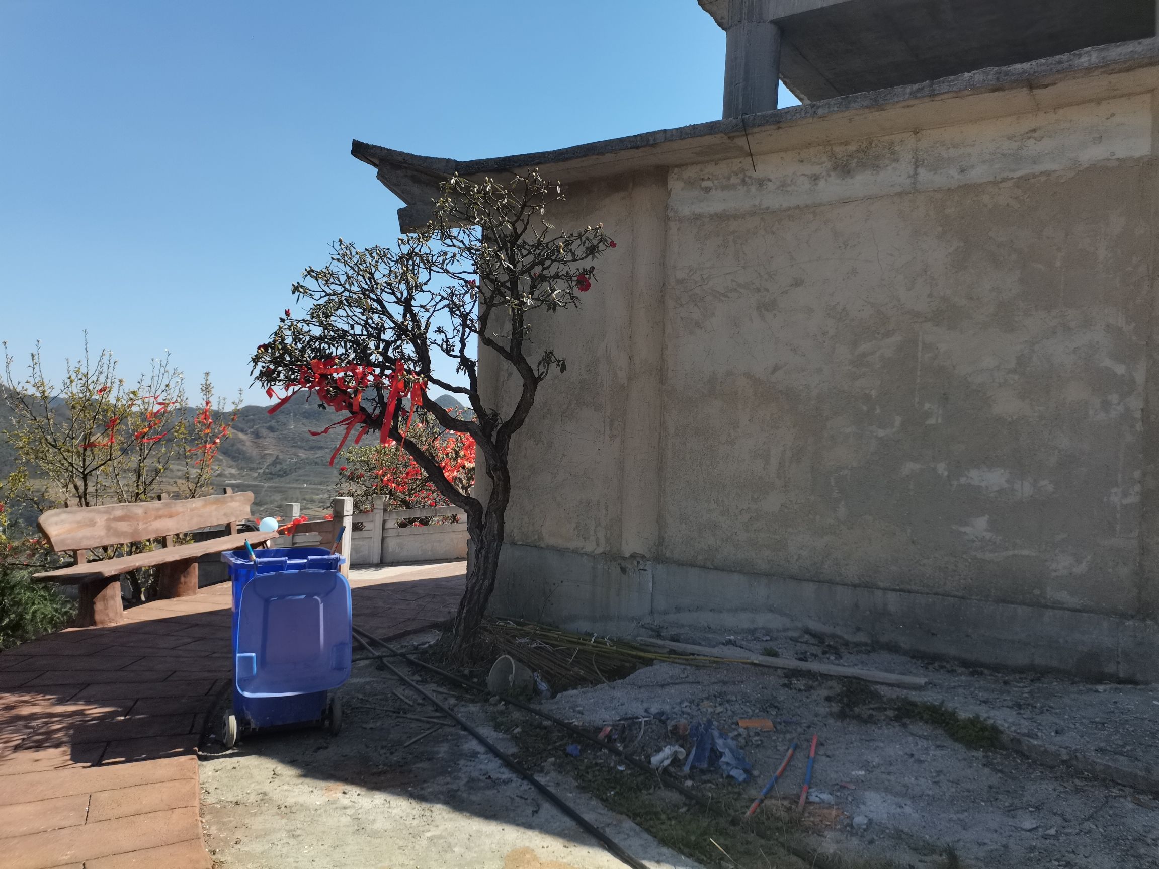六盘水十里杜鹃花海旅行图片 3