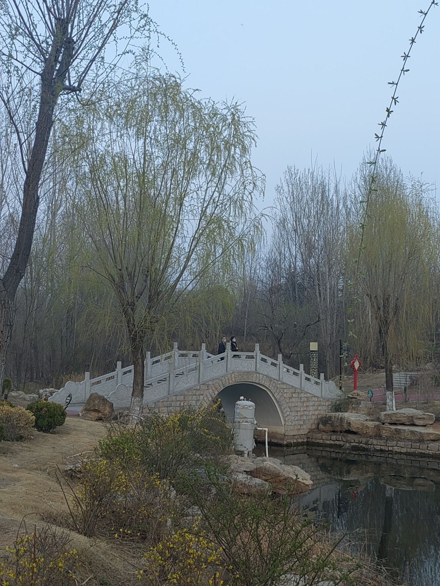 天璇公园旅行图片 3
