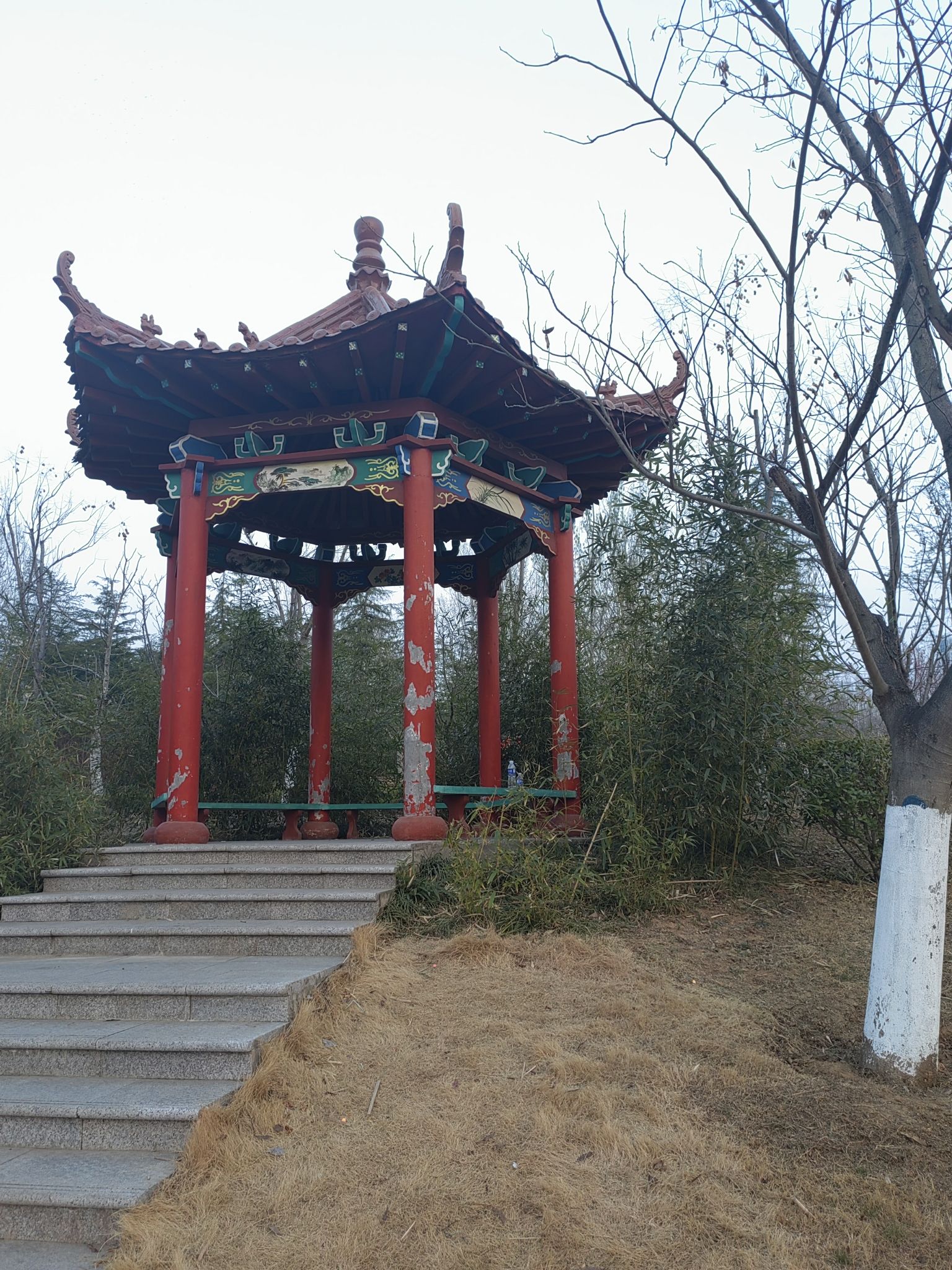 天璇公园旅行图片 2