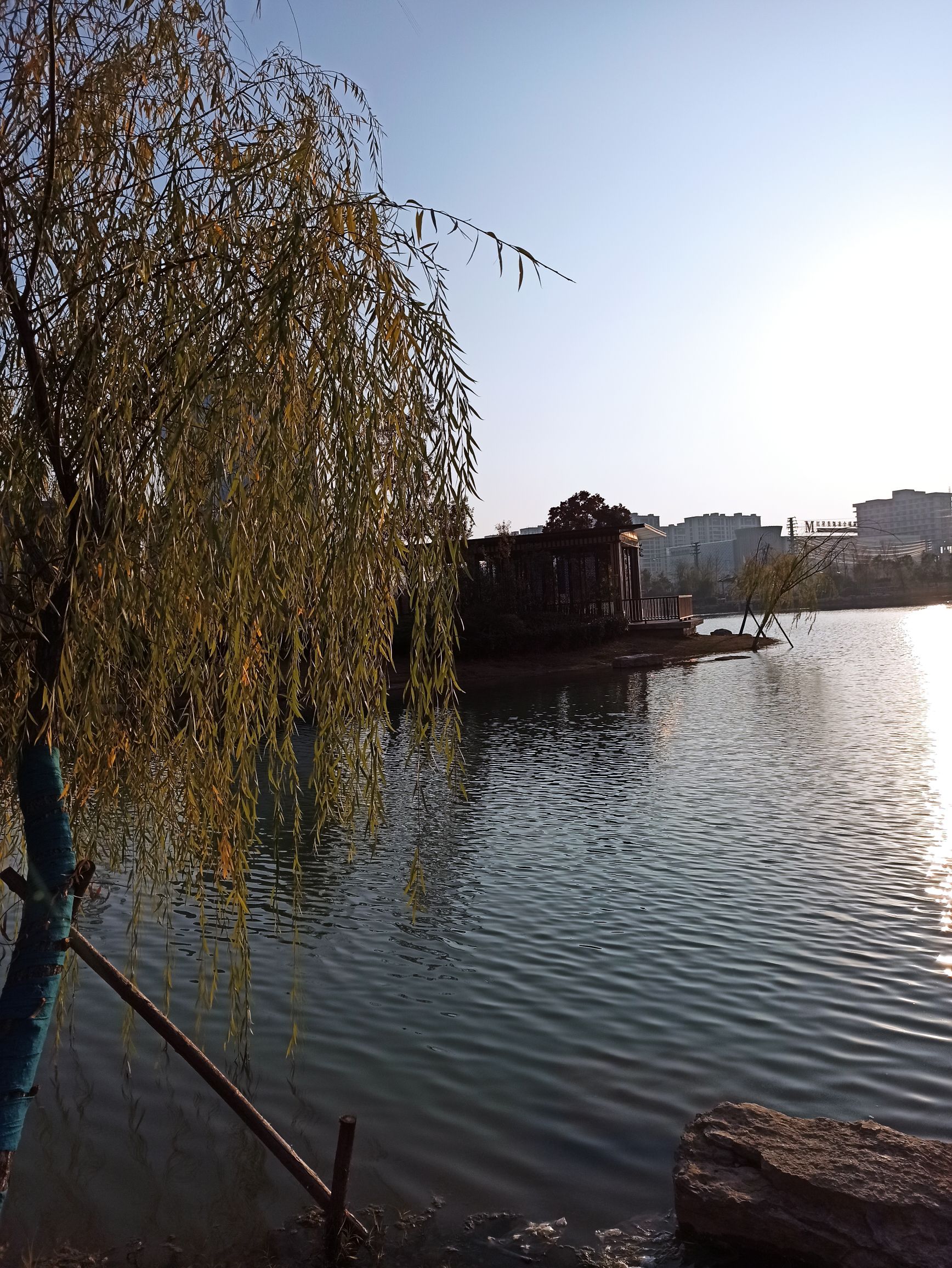迎宾湖公园旅行图片 2
