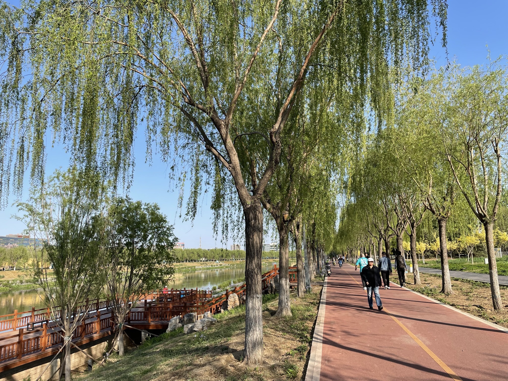 凉水河公园步道旅行图片 1