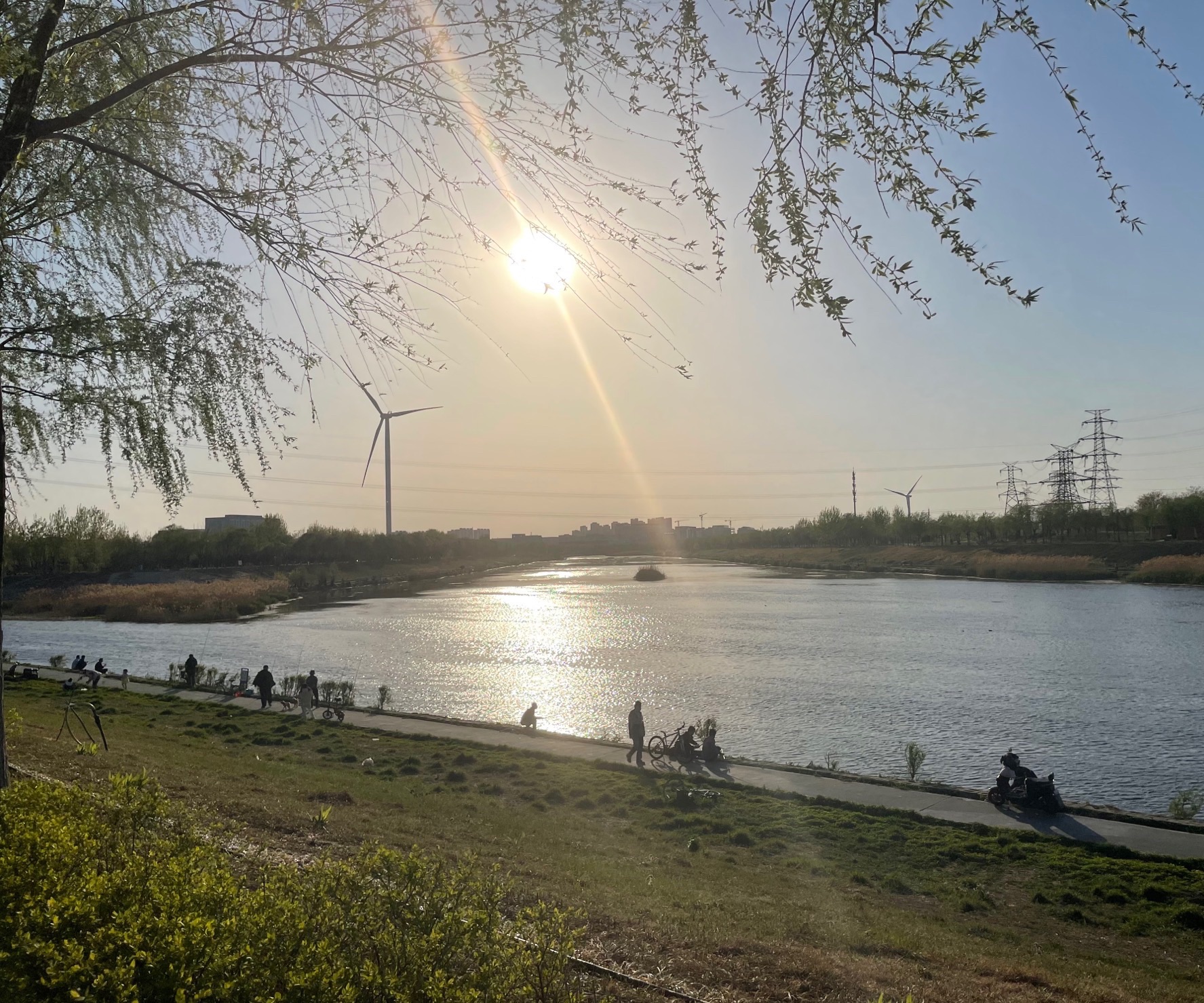 凉水河公园步道旅行图片 2