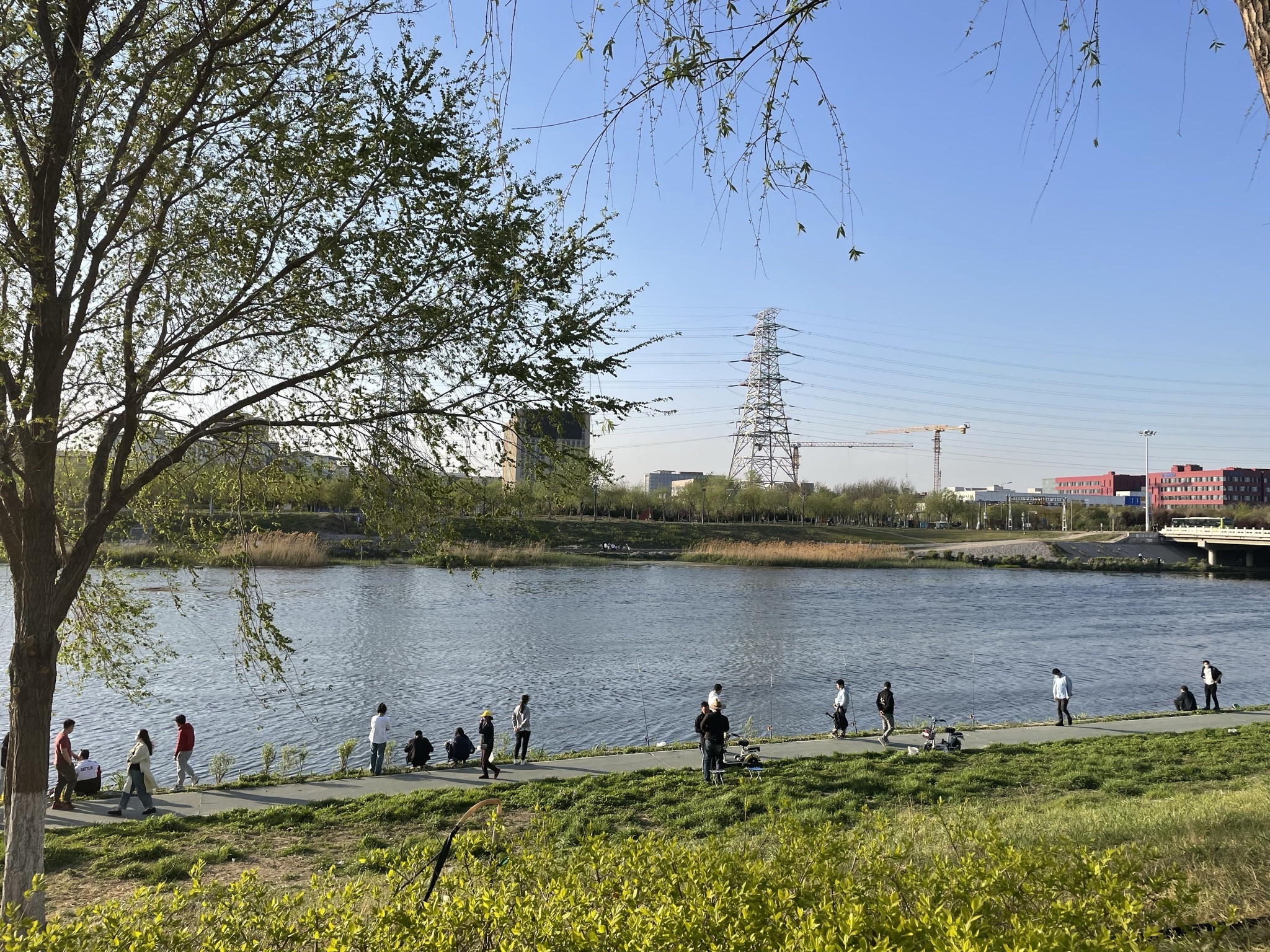 凉水河公园步道旅行图片 3
