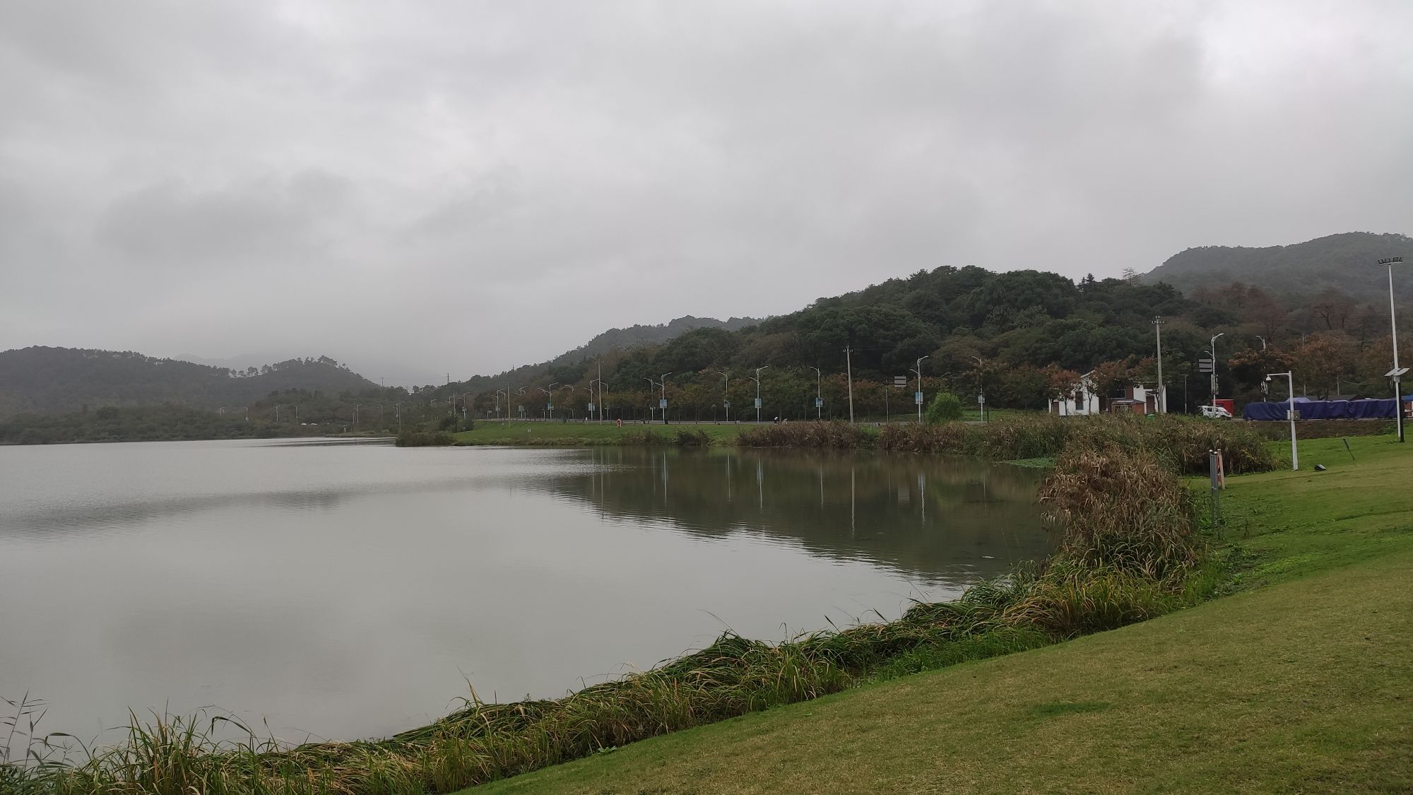 皂李湖景区旅行图片 2