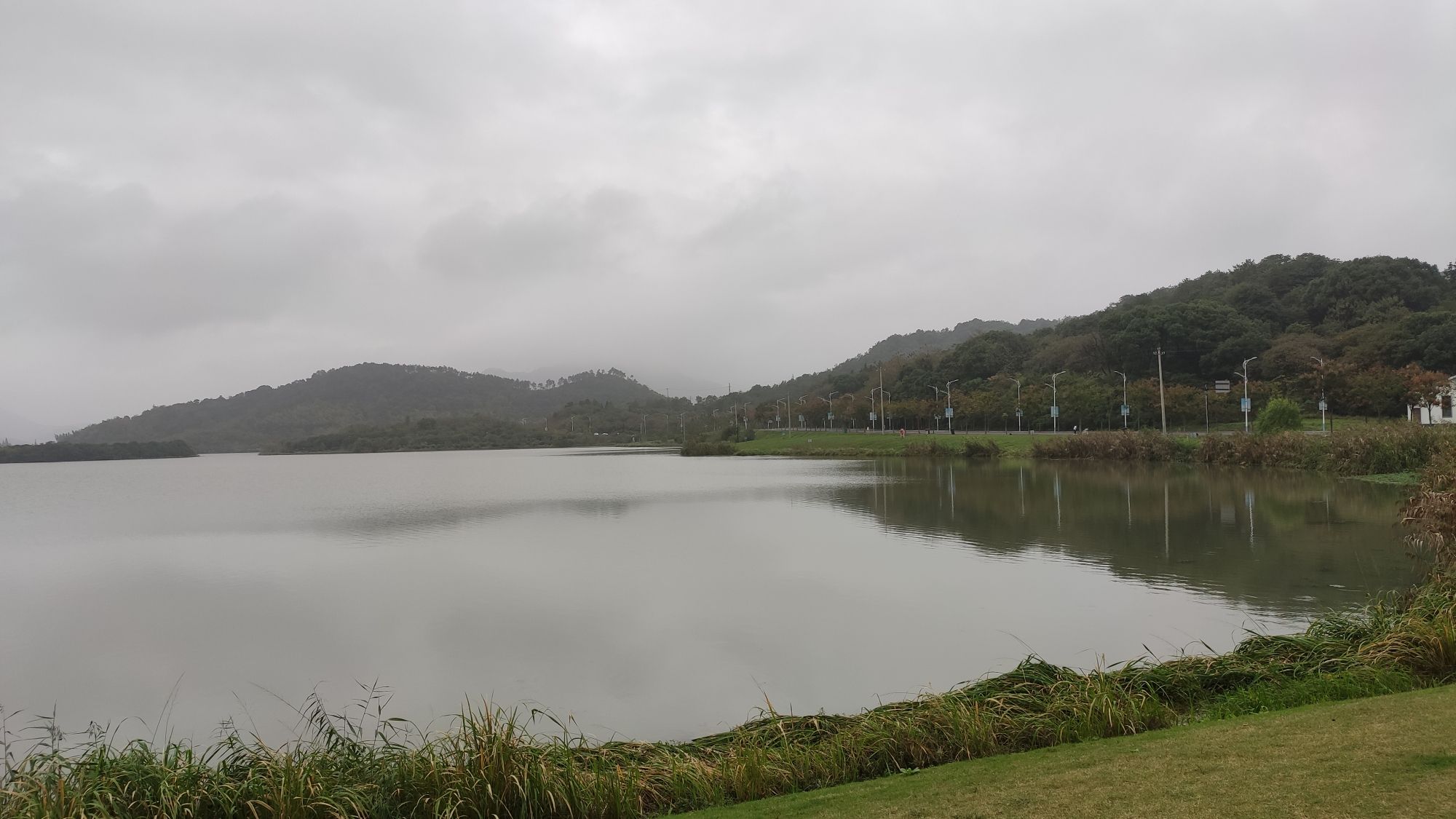 皂李湖景区旅行图片 1