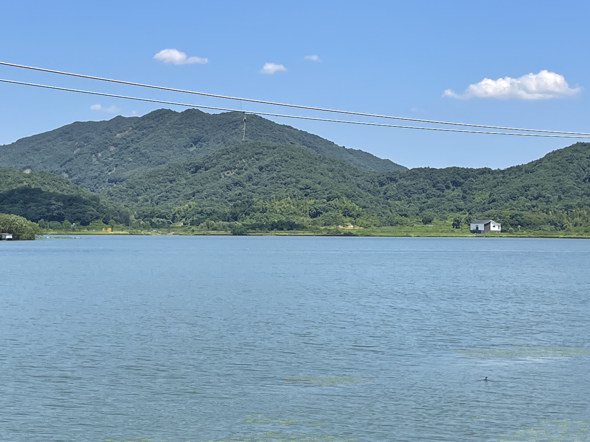 皂李湖景区旅行图片 3