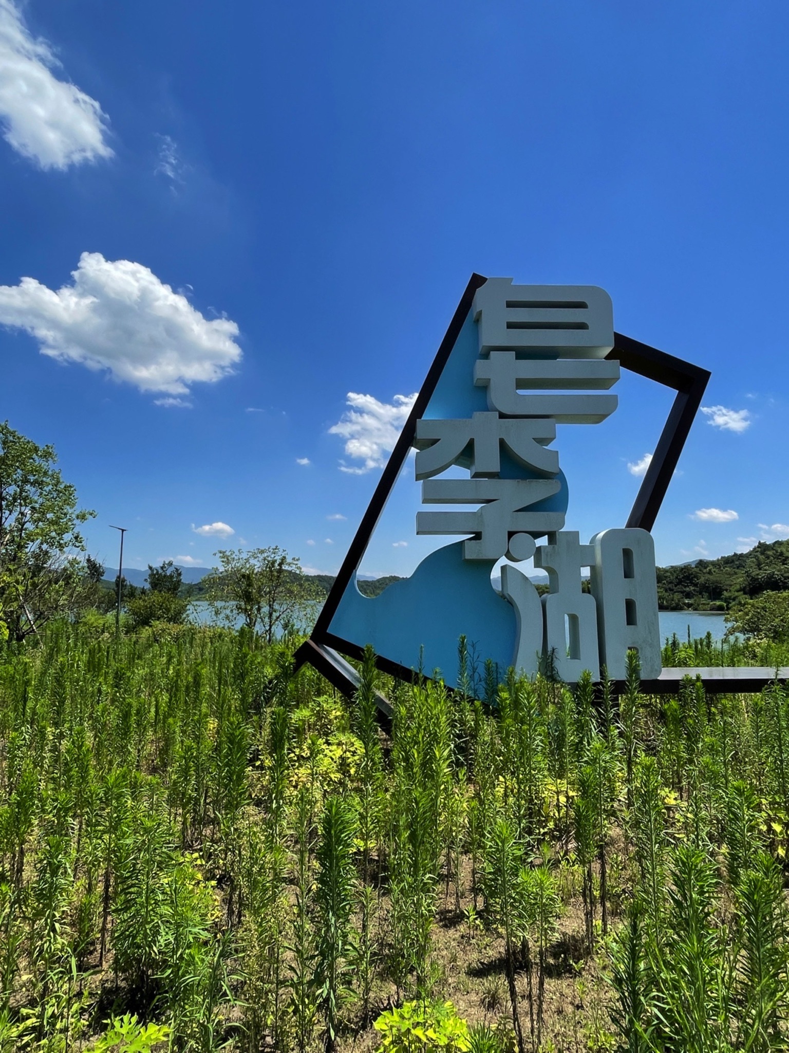 皂李湖景区旅行图片 1