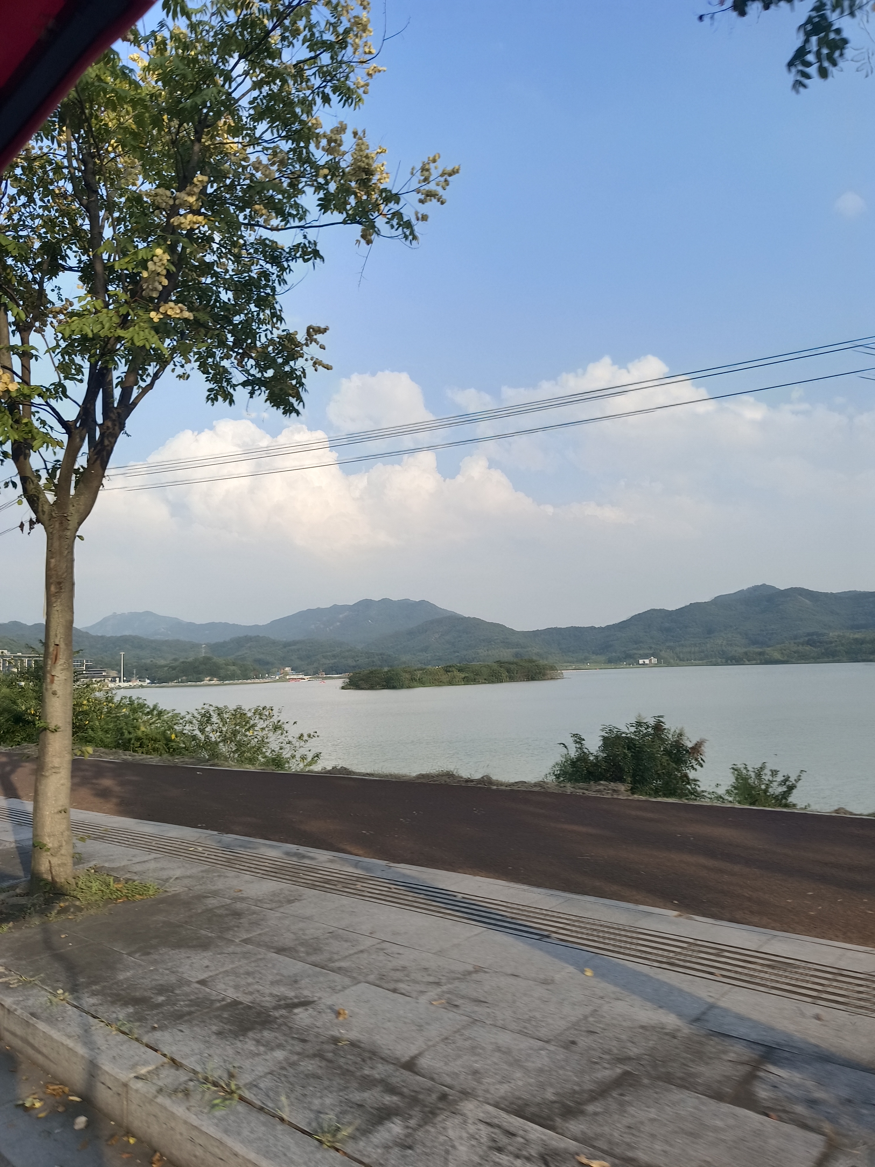 皂李湖景区旅行图片 2