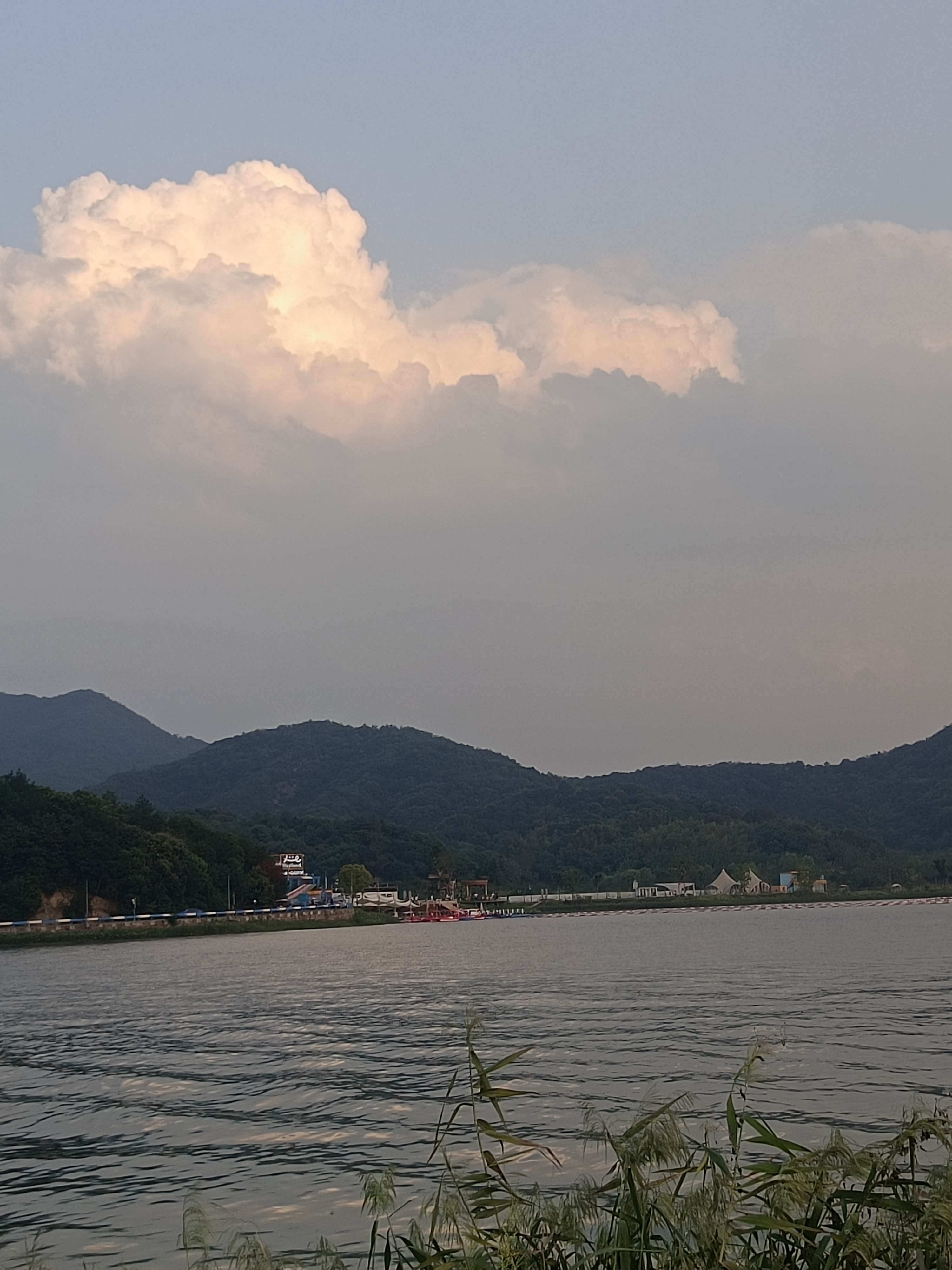 皂李湖景区旅行图片 1