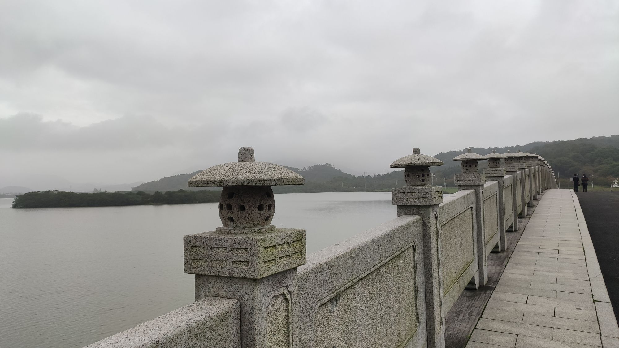 皂李湖景区旅行图片 3