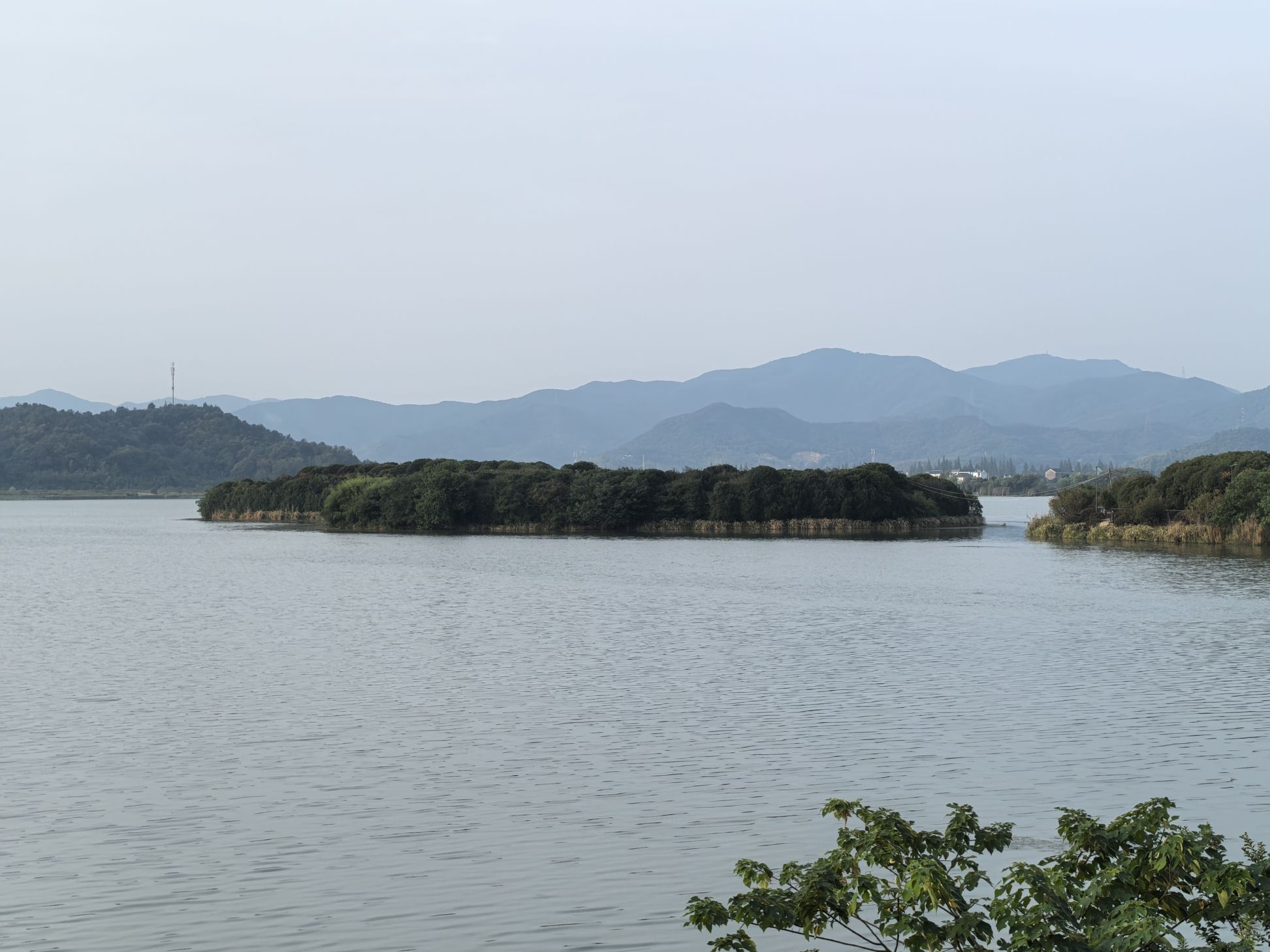 皂李湖景区旅行图片 3