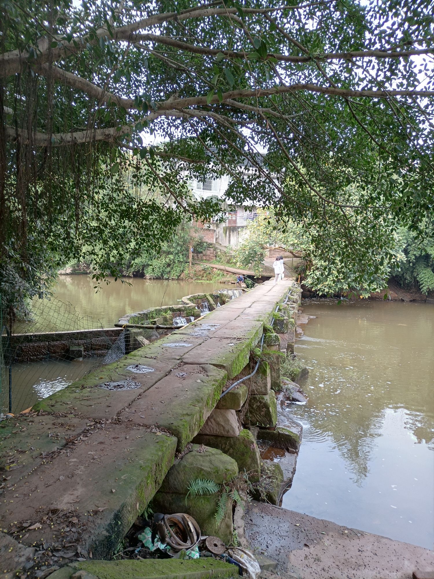 长寿桥流杯池旅行图片 1