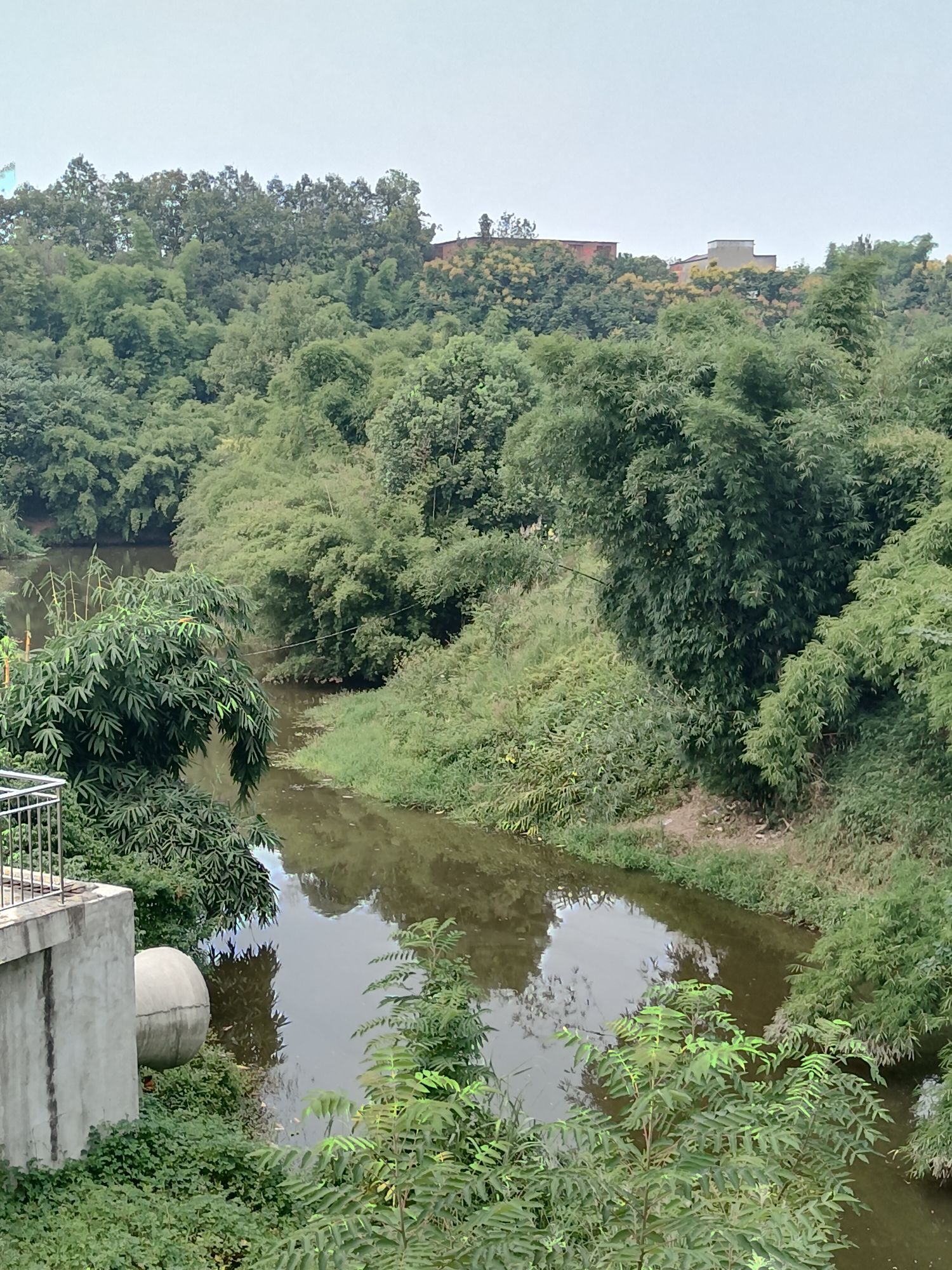 长寿桥流杯池旅行图片 3