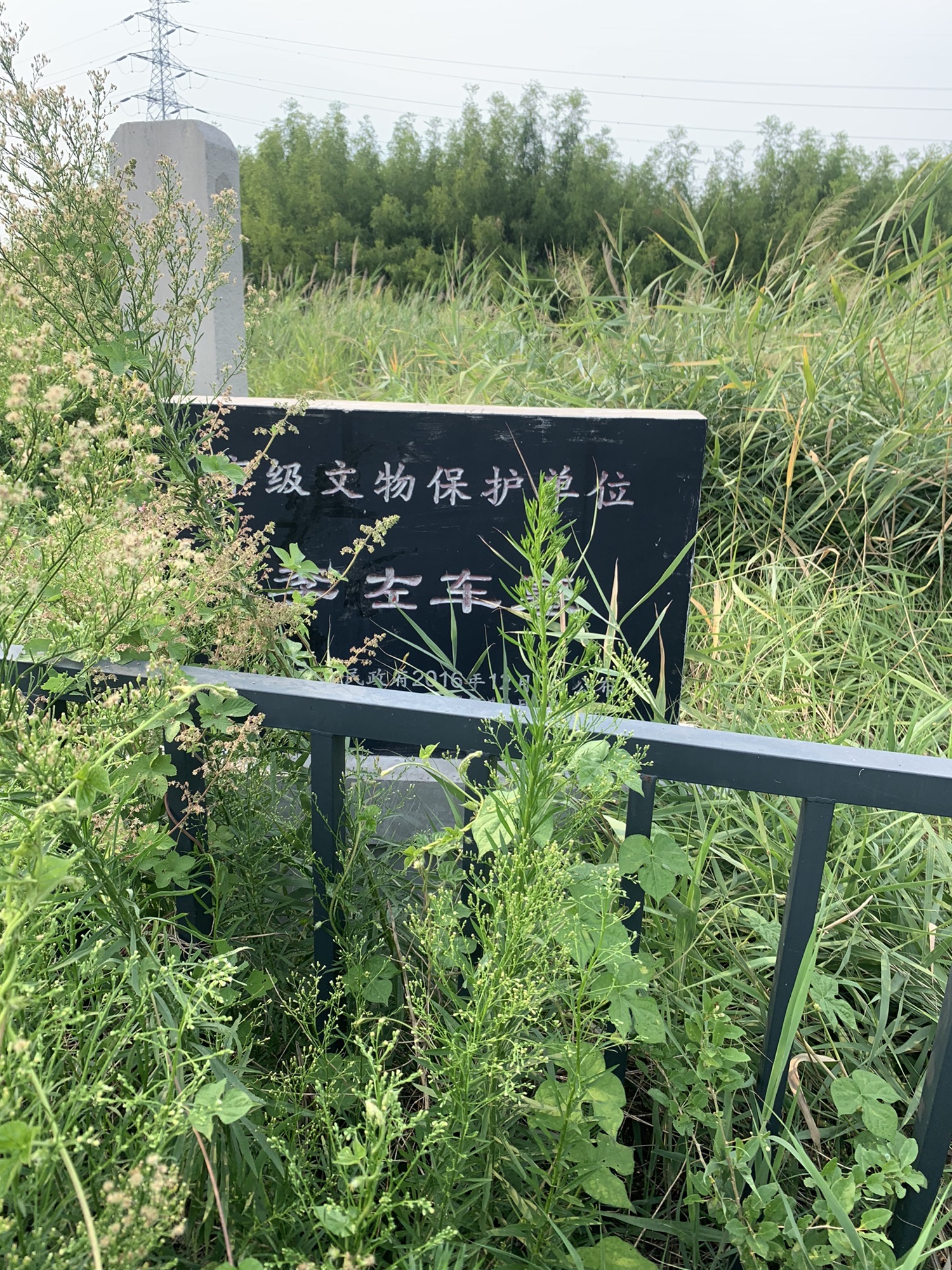 李佐车墓旅行图片 3