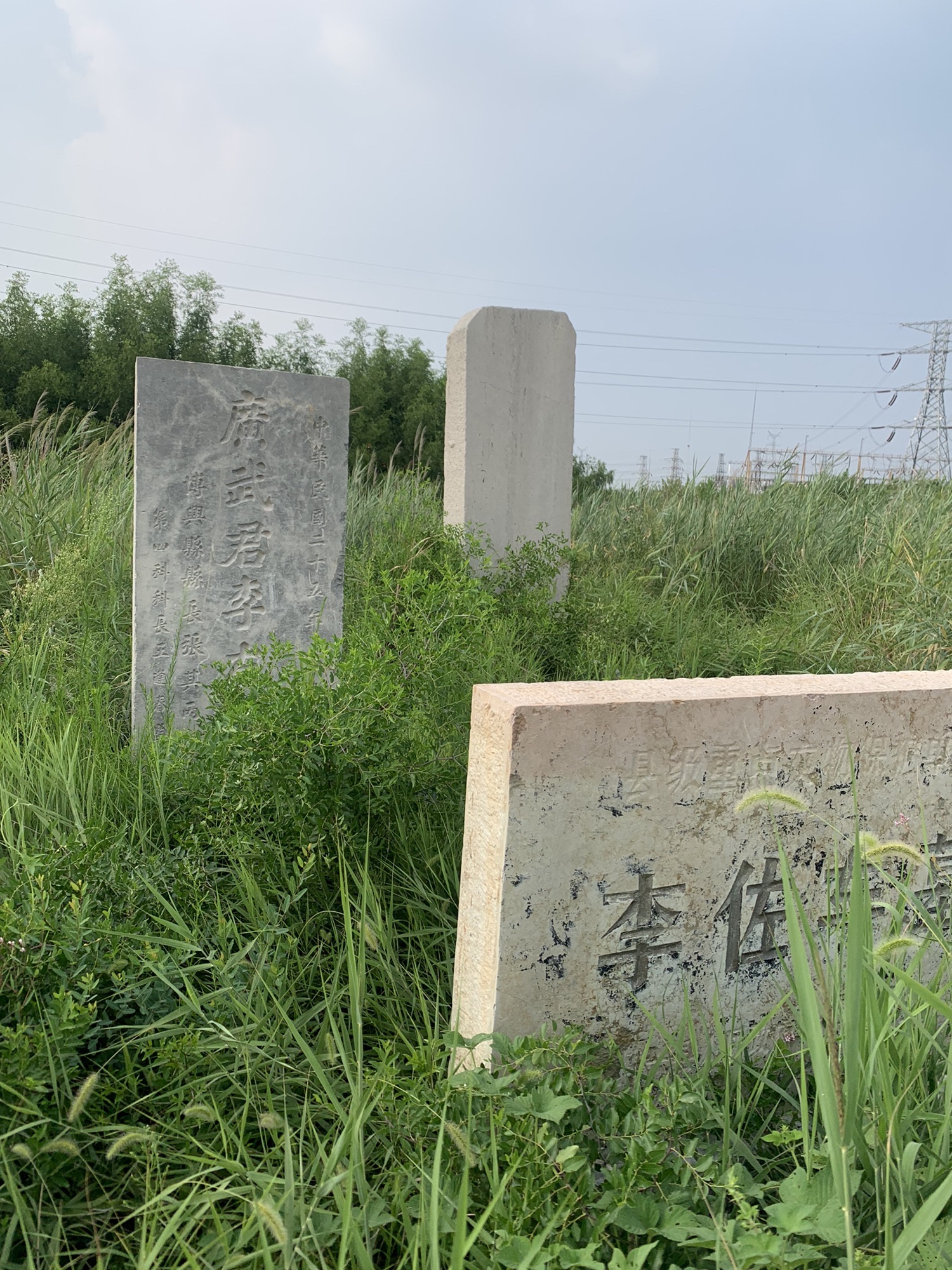 李佐车墓旅行图片 1