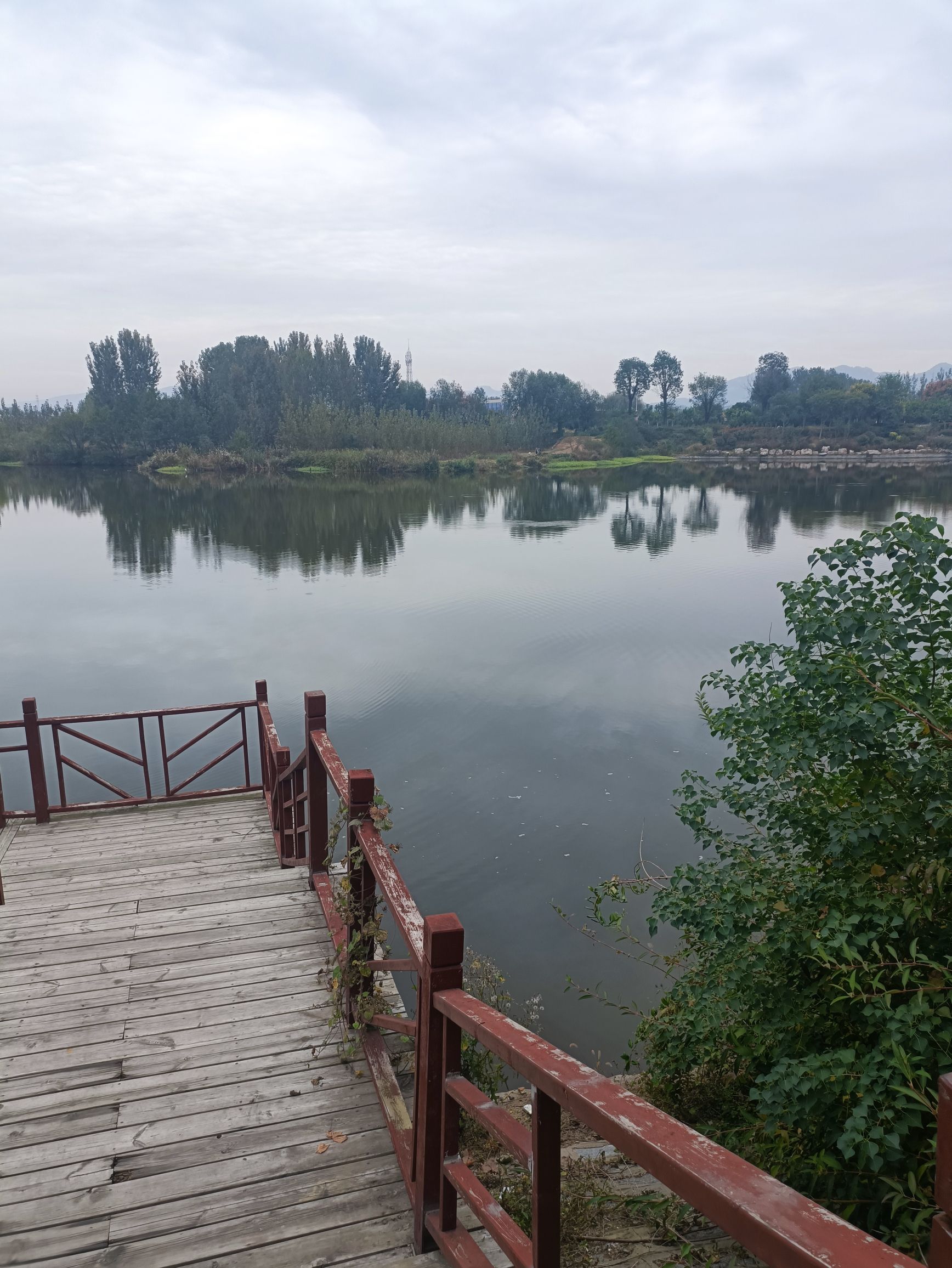 绣针河湿地公园旅行图片 1
