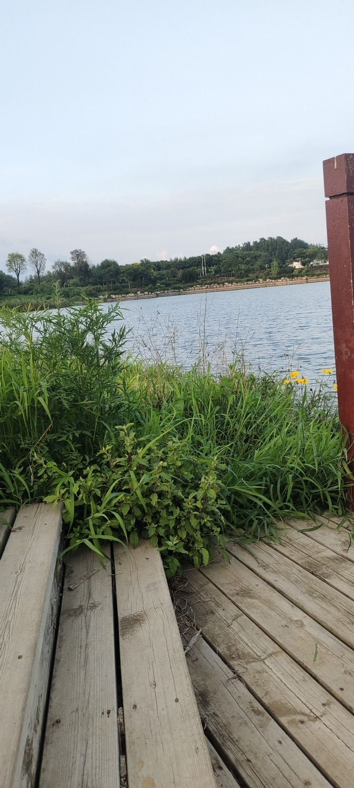 绣针河湿地公园旅行图片 1