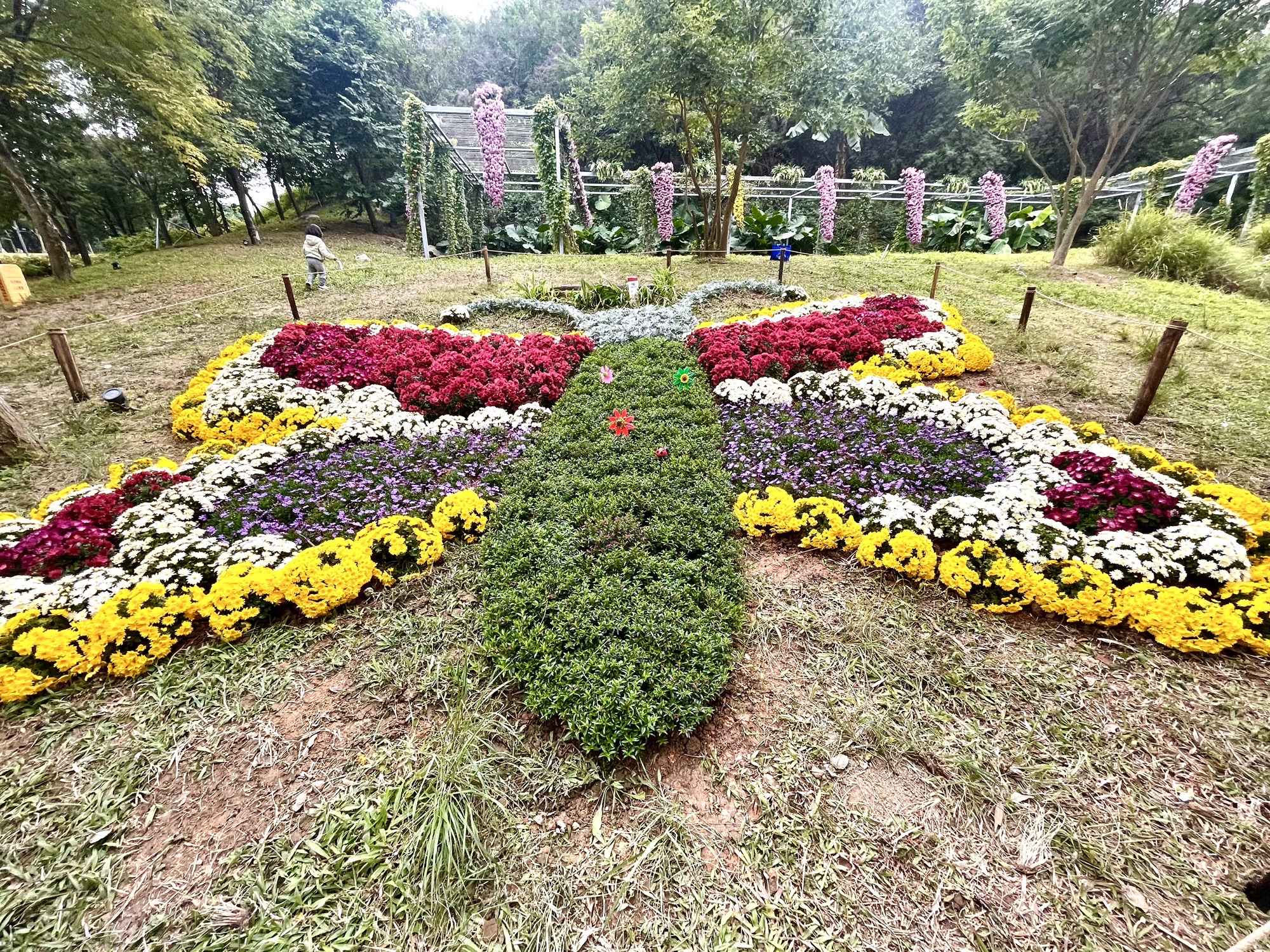 西丽生态公园旅行图片 2
