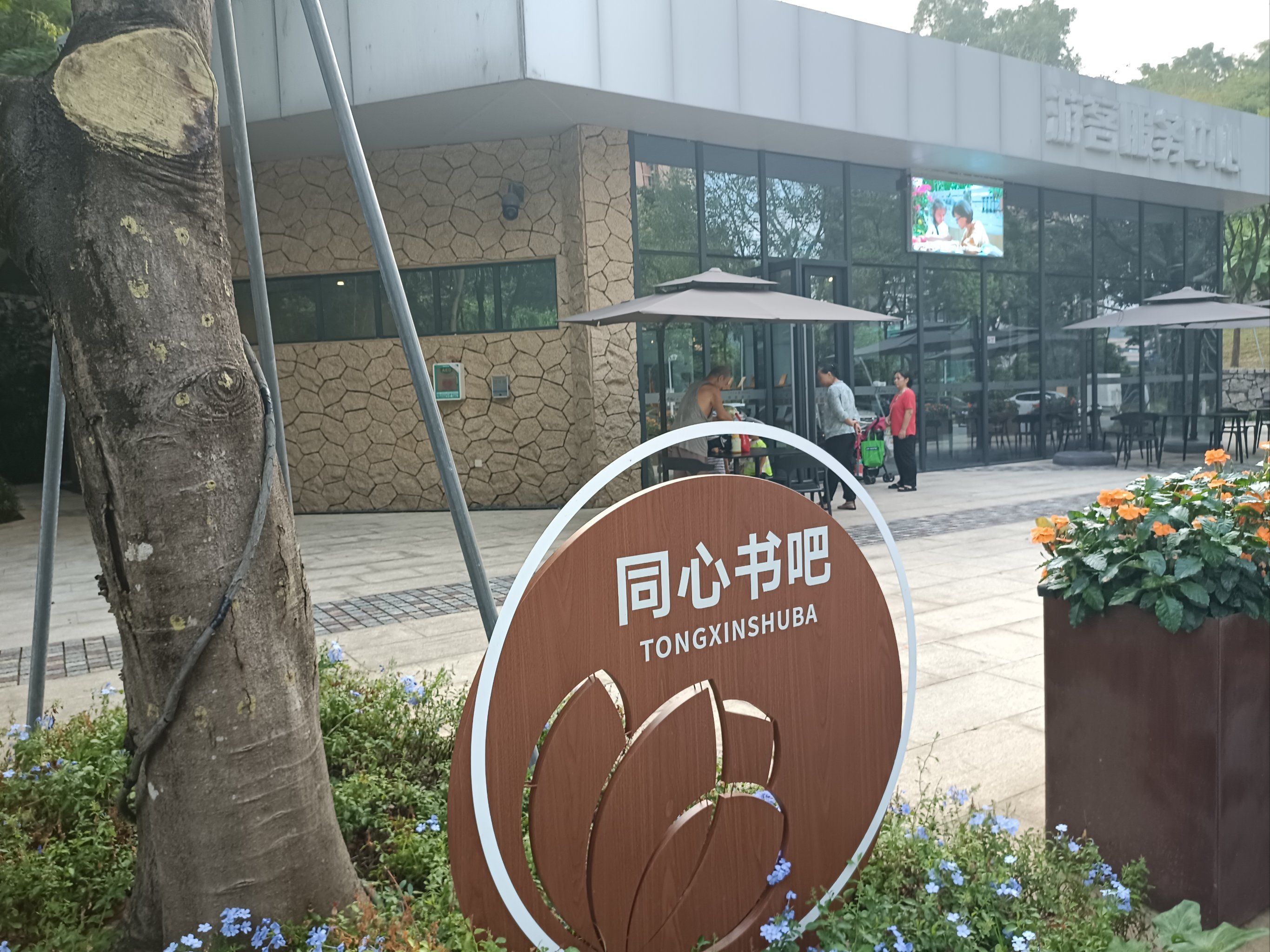 西丽生态公园旅行图片 2