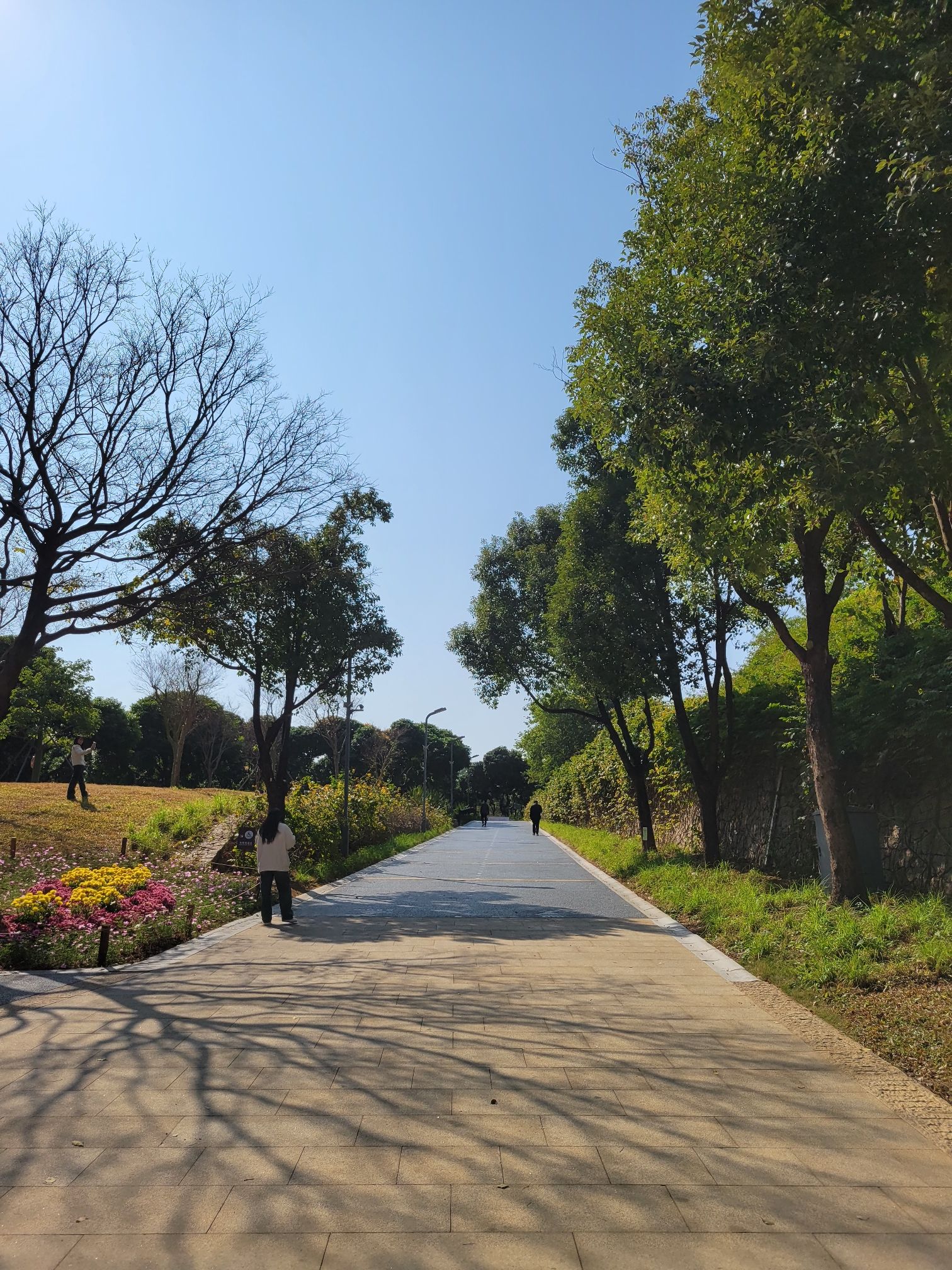 西丽生态公园旅行图片 3