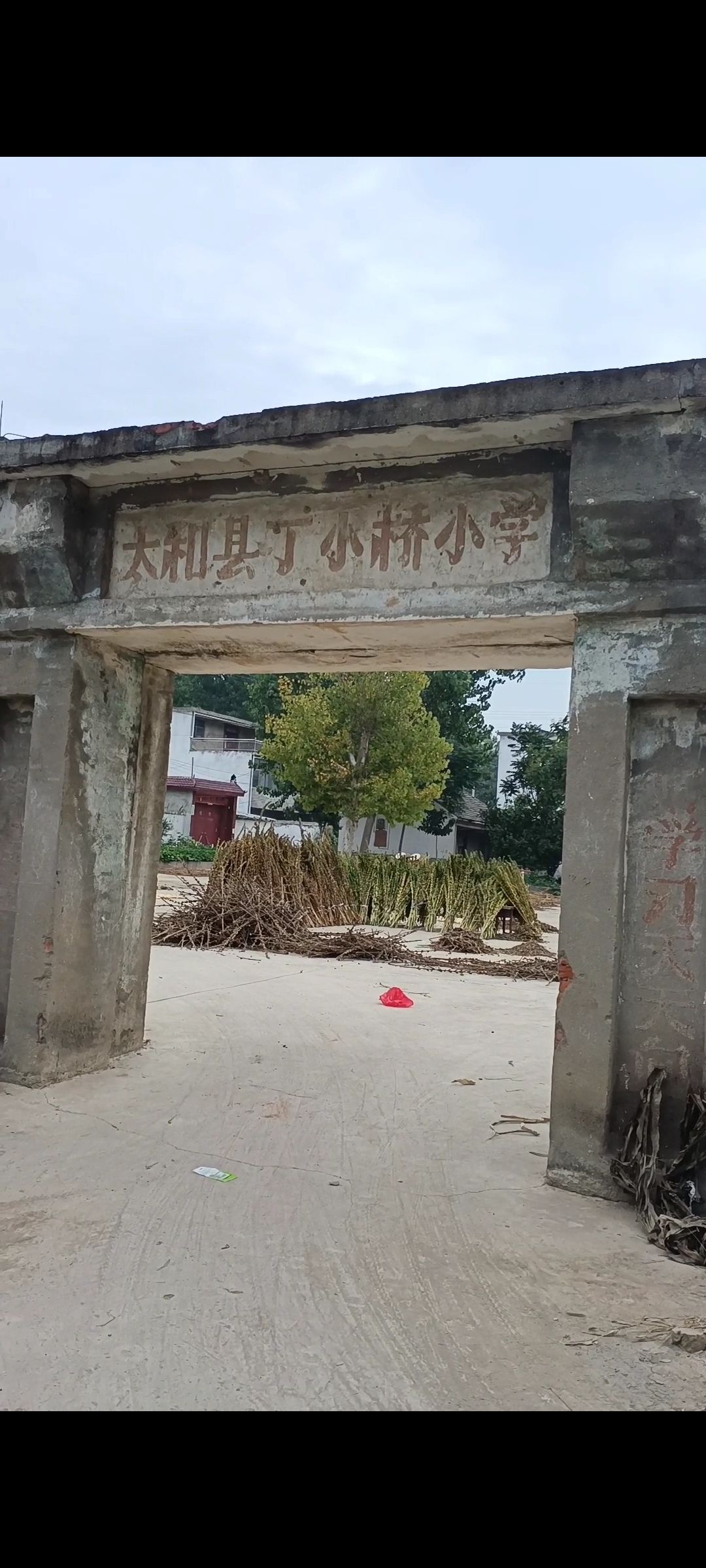 太和县丁小桥小学旧址旅行图片 1