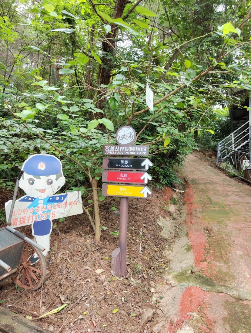 芦仙山景区旅行图片 1