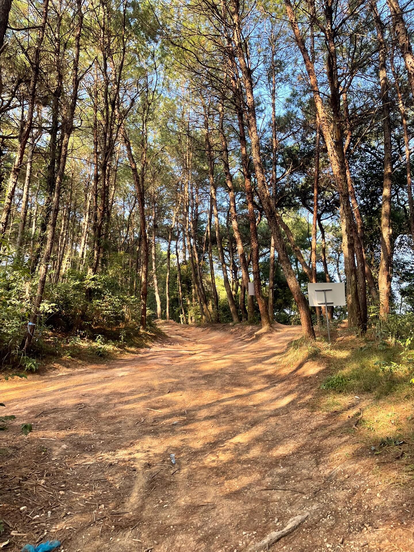 芦仙山景区旅行图片 1