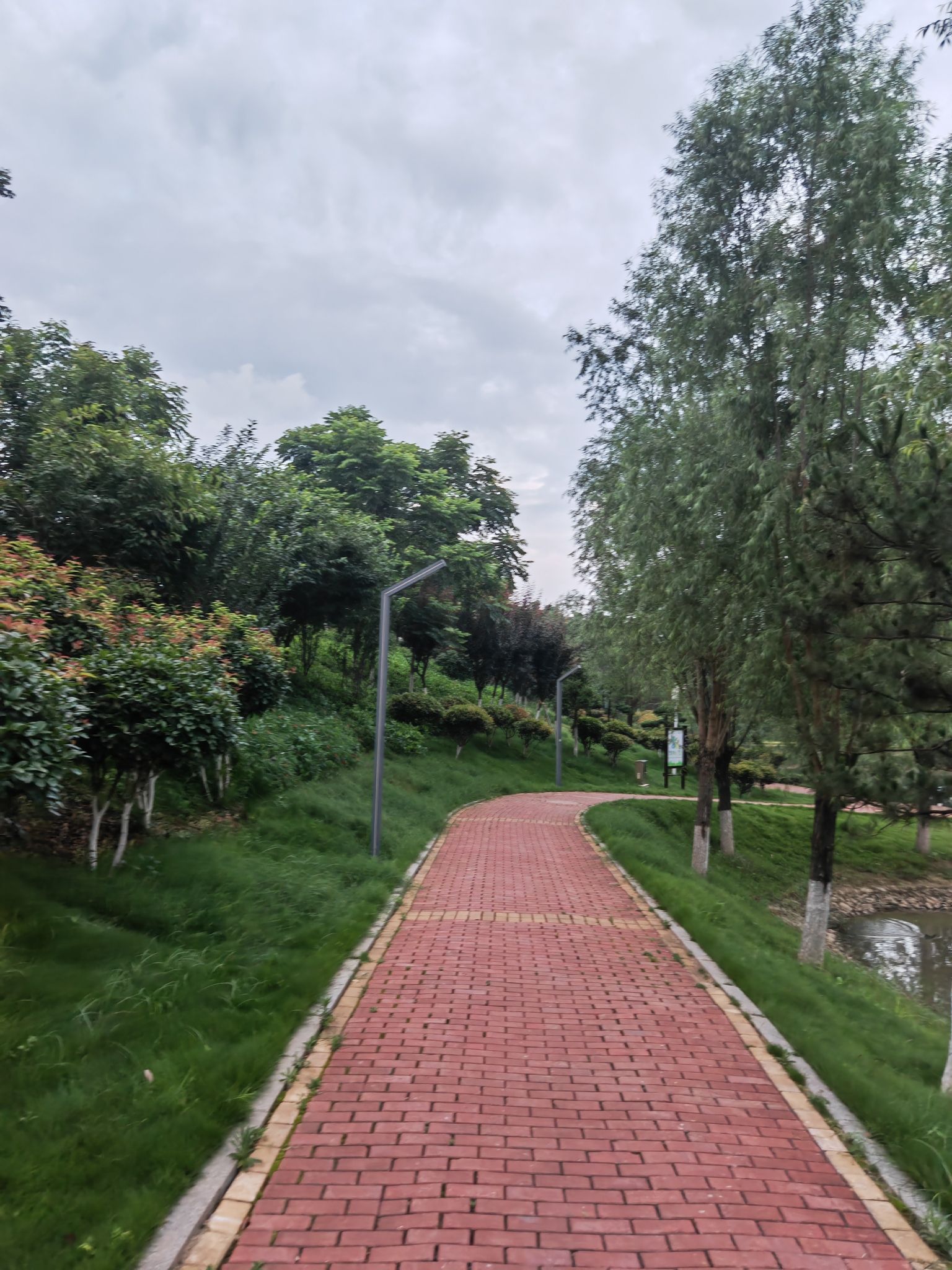 爱莲池湿地公园旅行图片 1