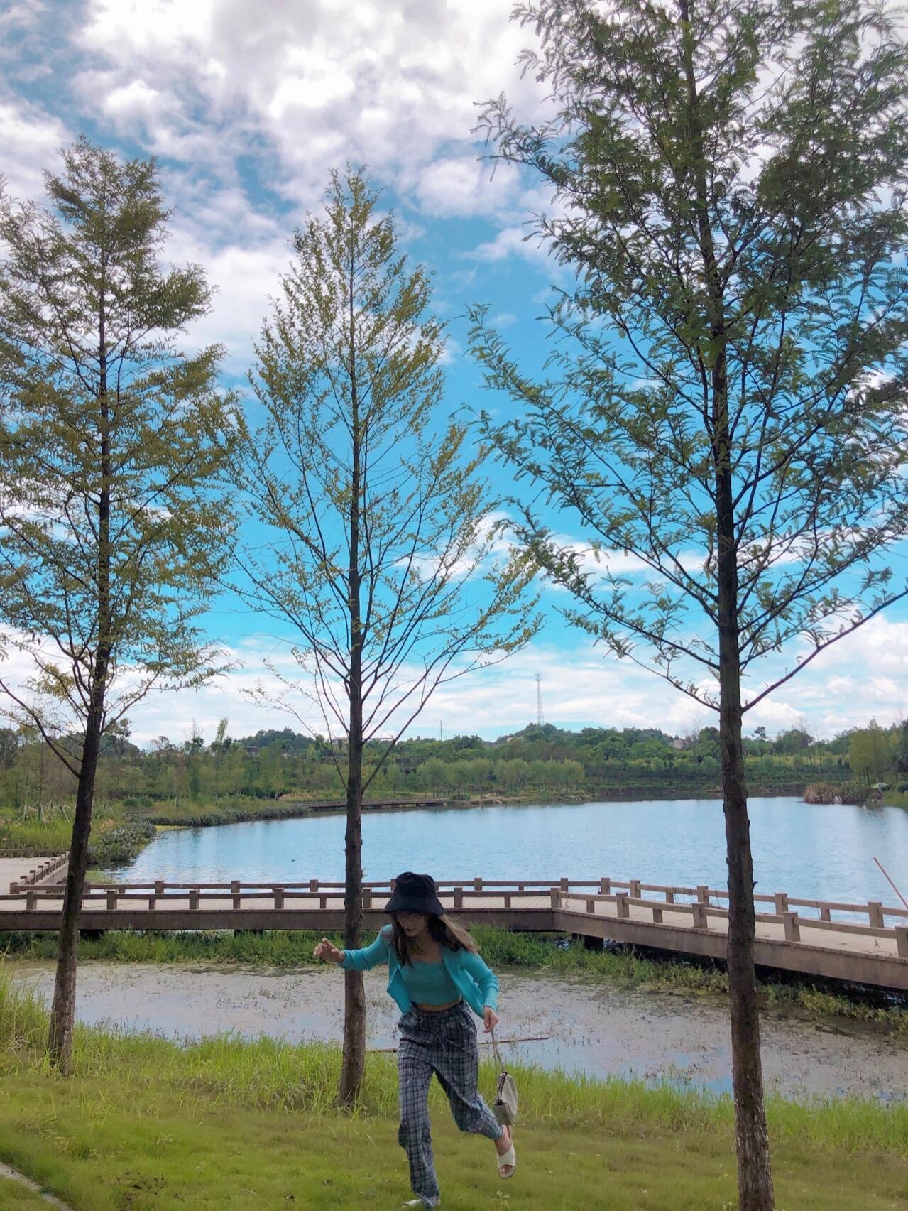 爱莲池湿地公园旅行图片 2