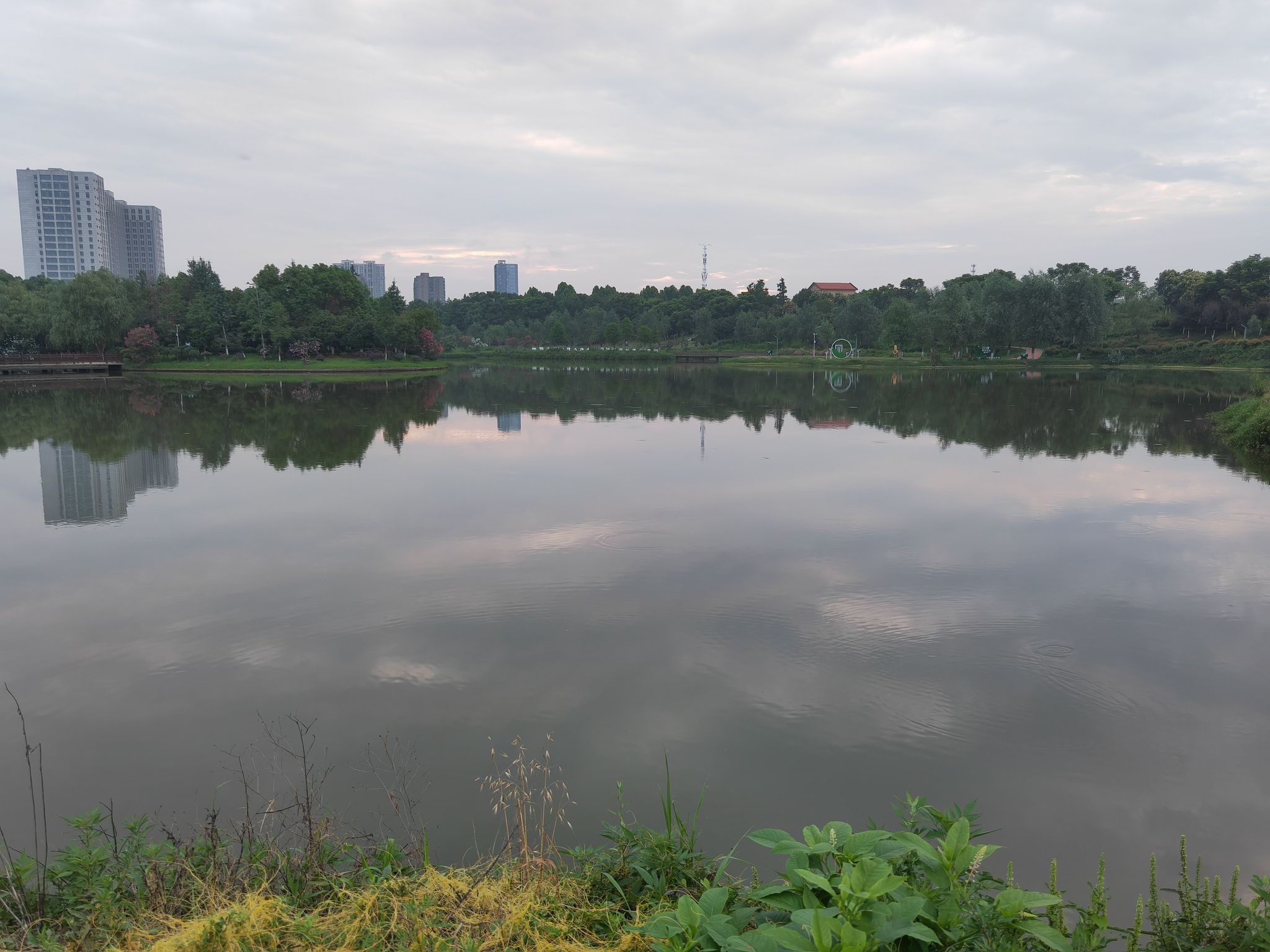 爱莲池湿地公园旅行图片 2