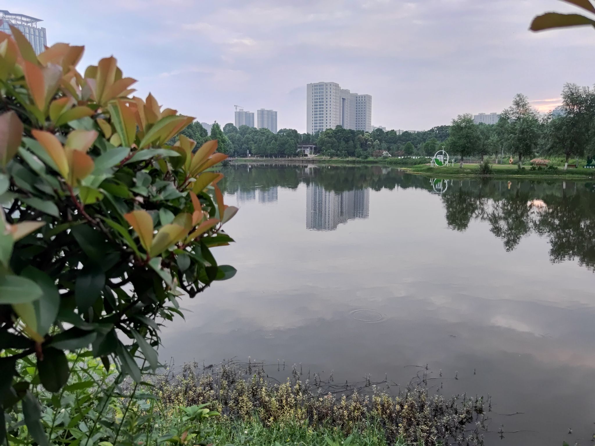 爱莲池湿地公园旅行图片 3